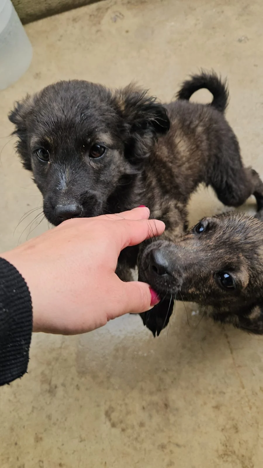 PHOTO-2026-04-09-09-39-25 2.jpg