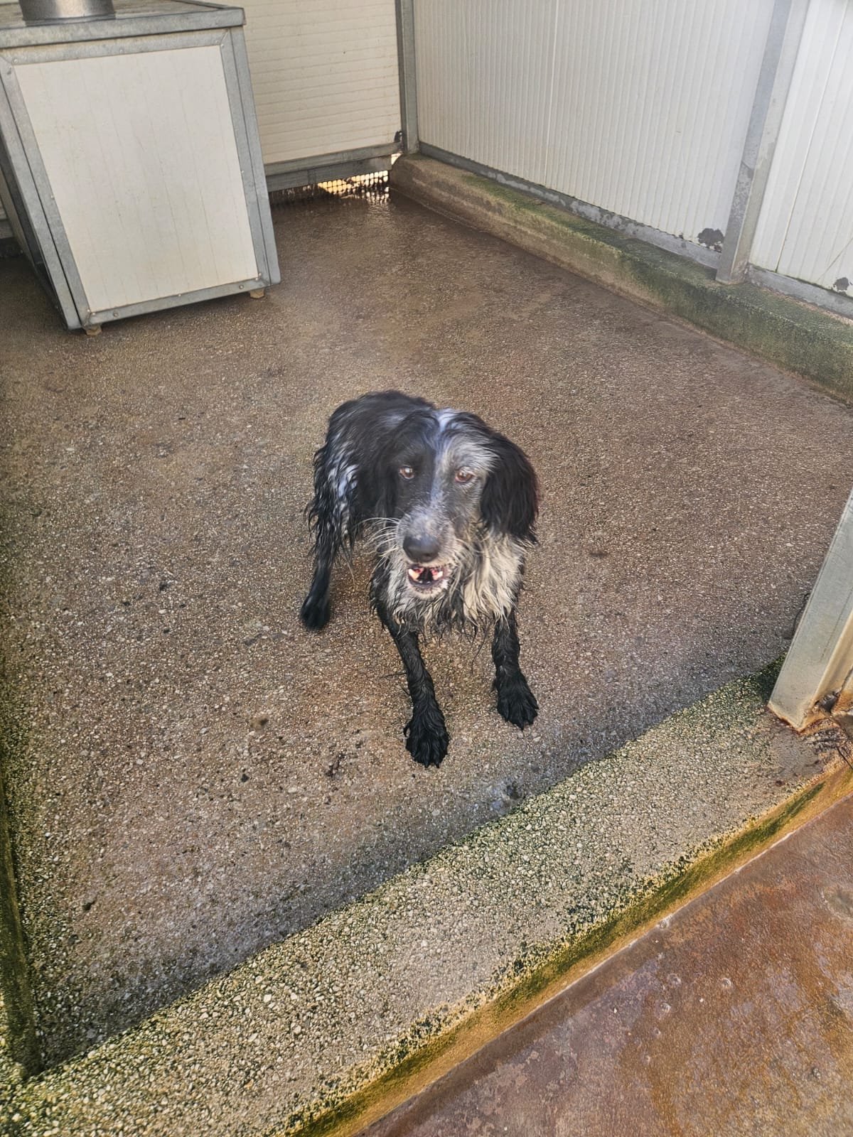 PHOTO-2026-02-03-11-34-34 2.jpg