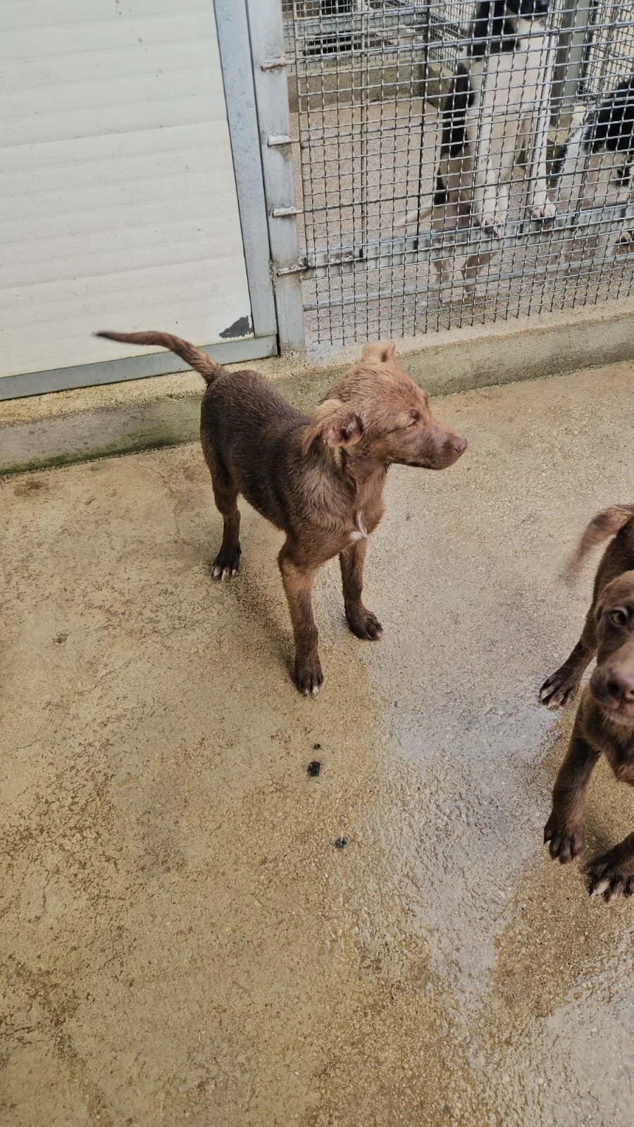 PHOTO-2026-04-09-09-44-51 2.jpg