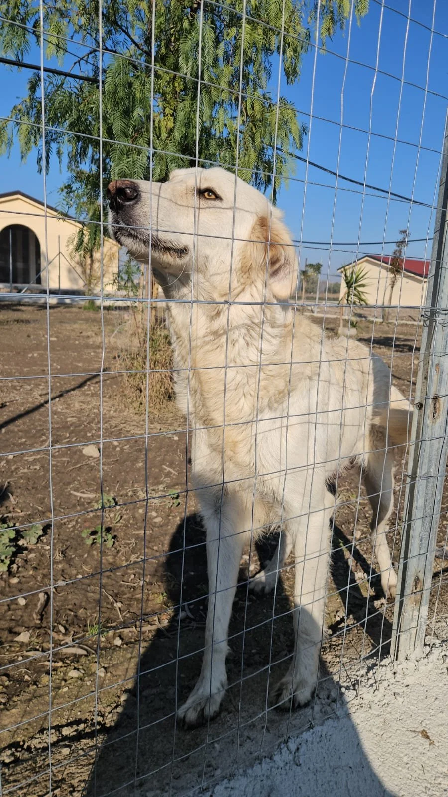 PHOTO-2025-12-10-12-31-23 2.jpg