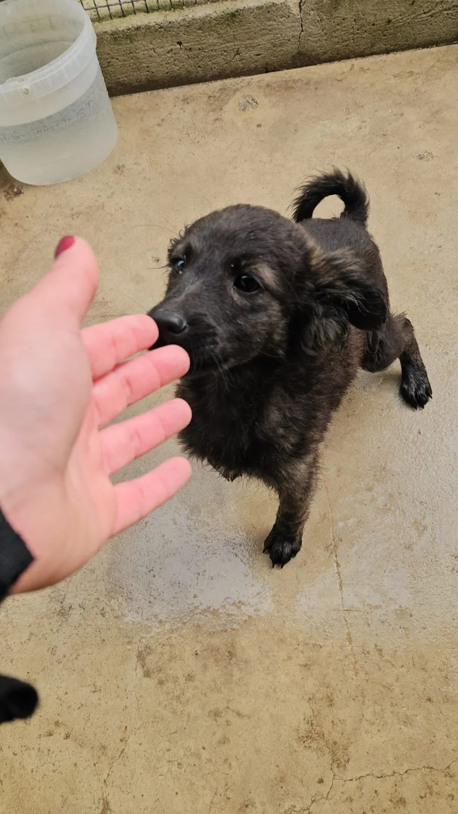 PHOTO-2026-04-09-09-39-27 2.jpg