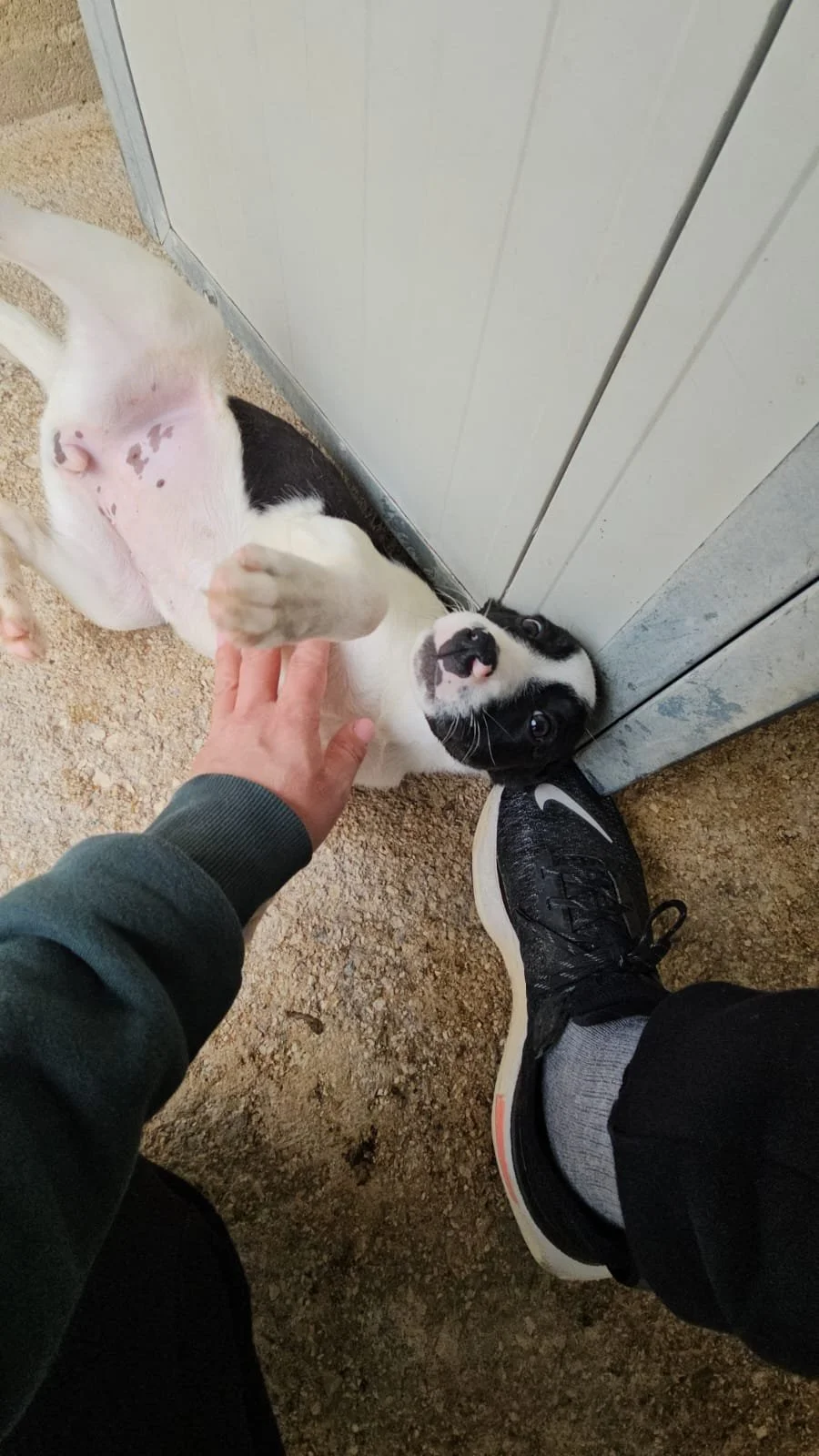 PHOTO-2026-03-21-07-21-34 2.jpg