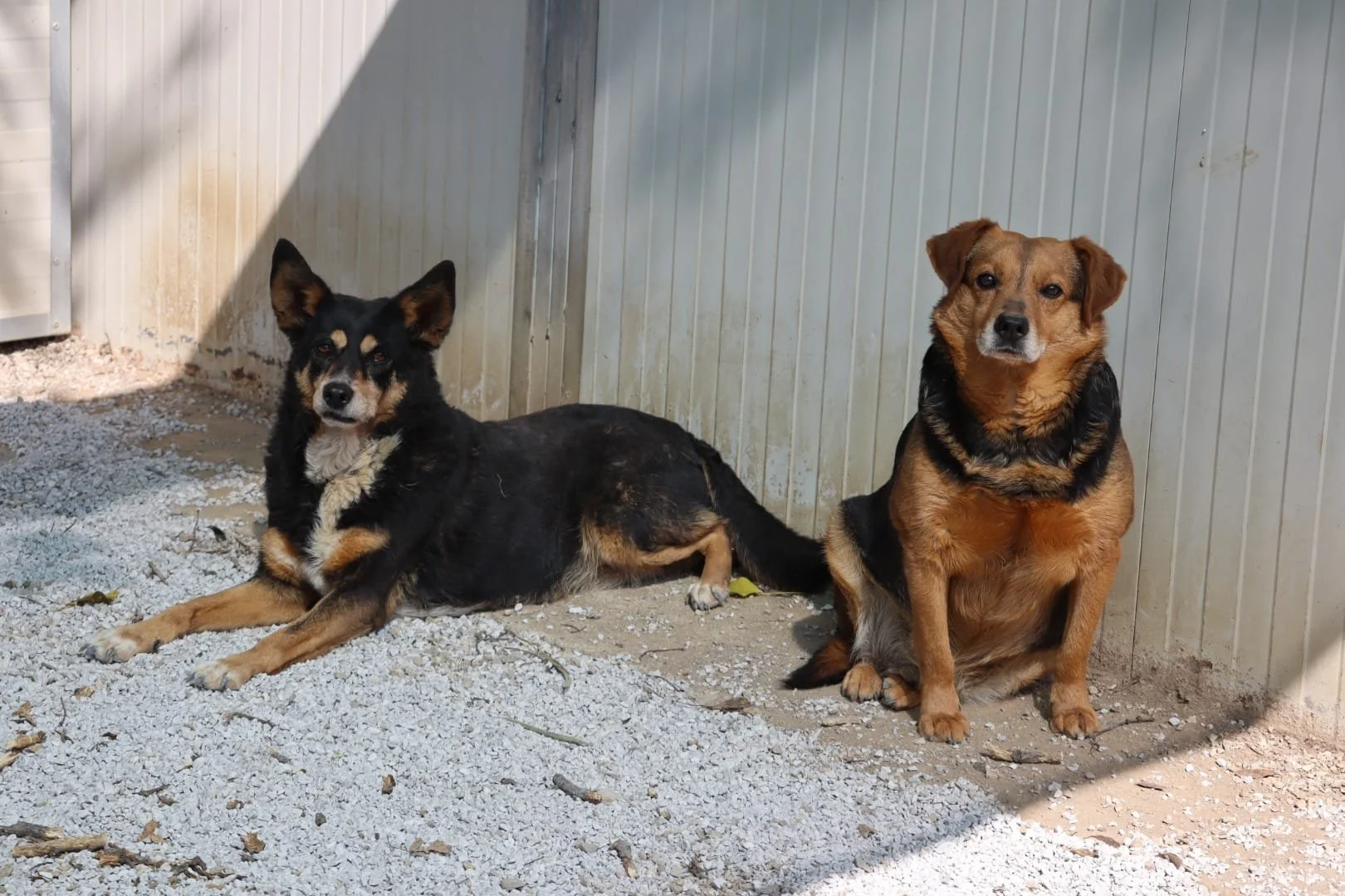 PHOTO-2025-04-06-14-50-38 2.jpg