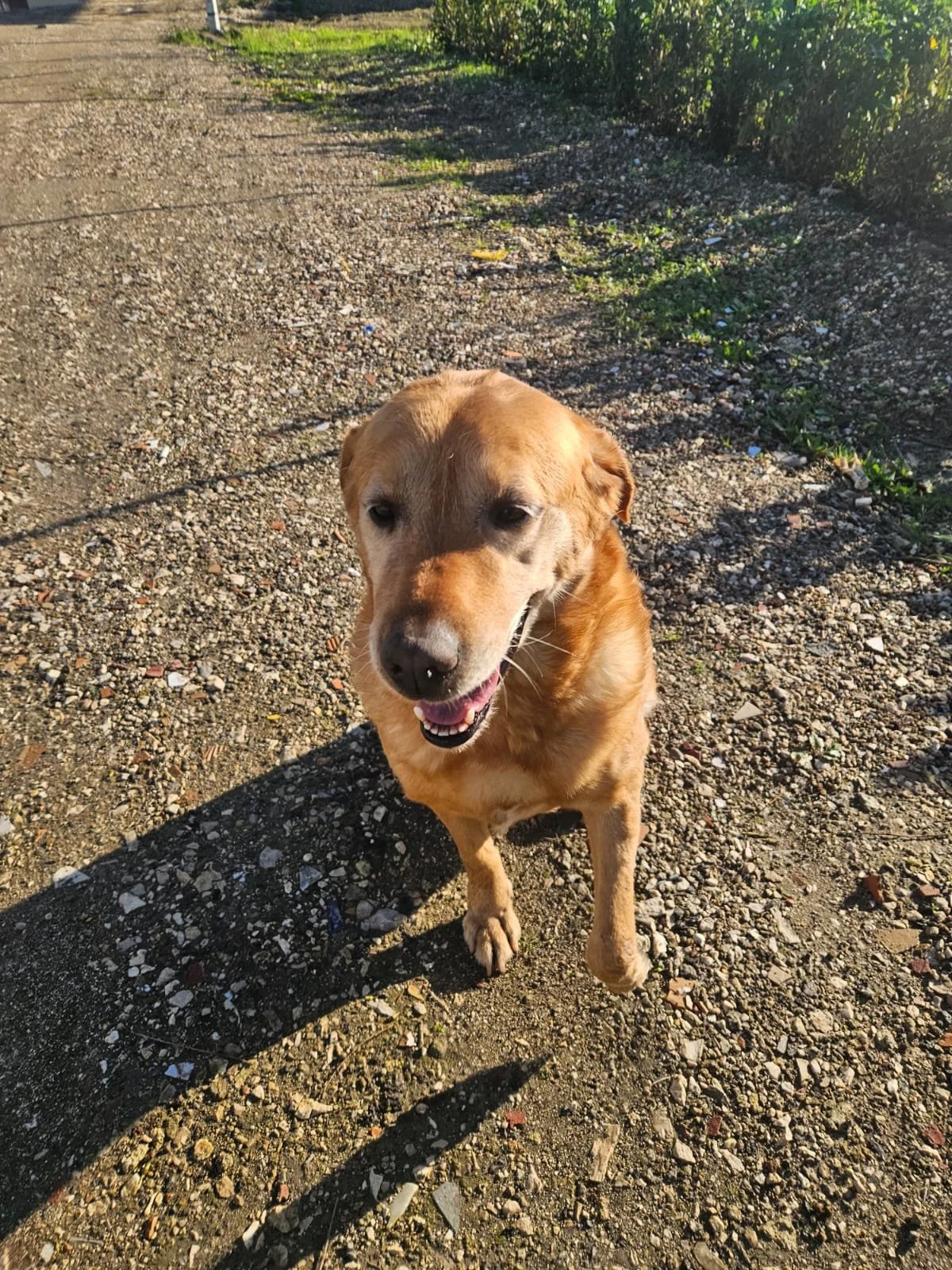 PHOTO-2026-02-03-11-53-48 3.jpg