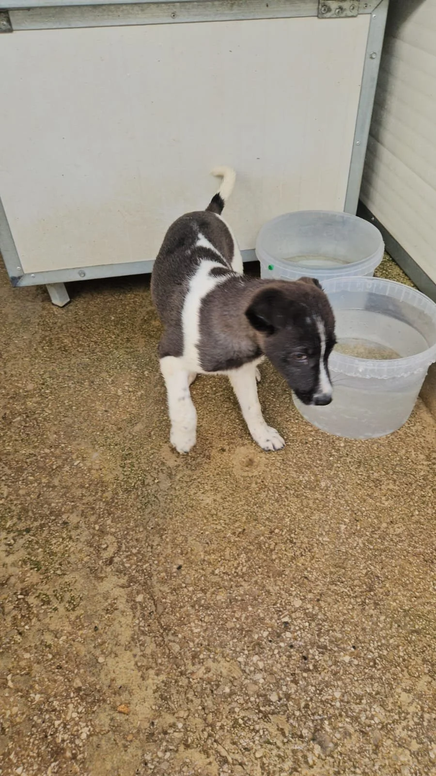 PHOTO-2026-04-09-09-34-31 4.jpg