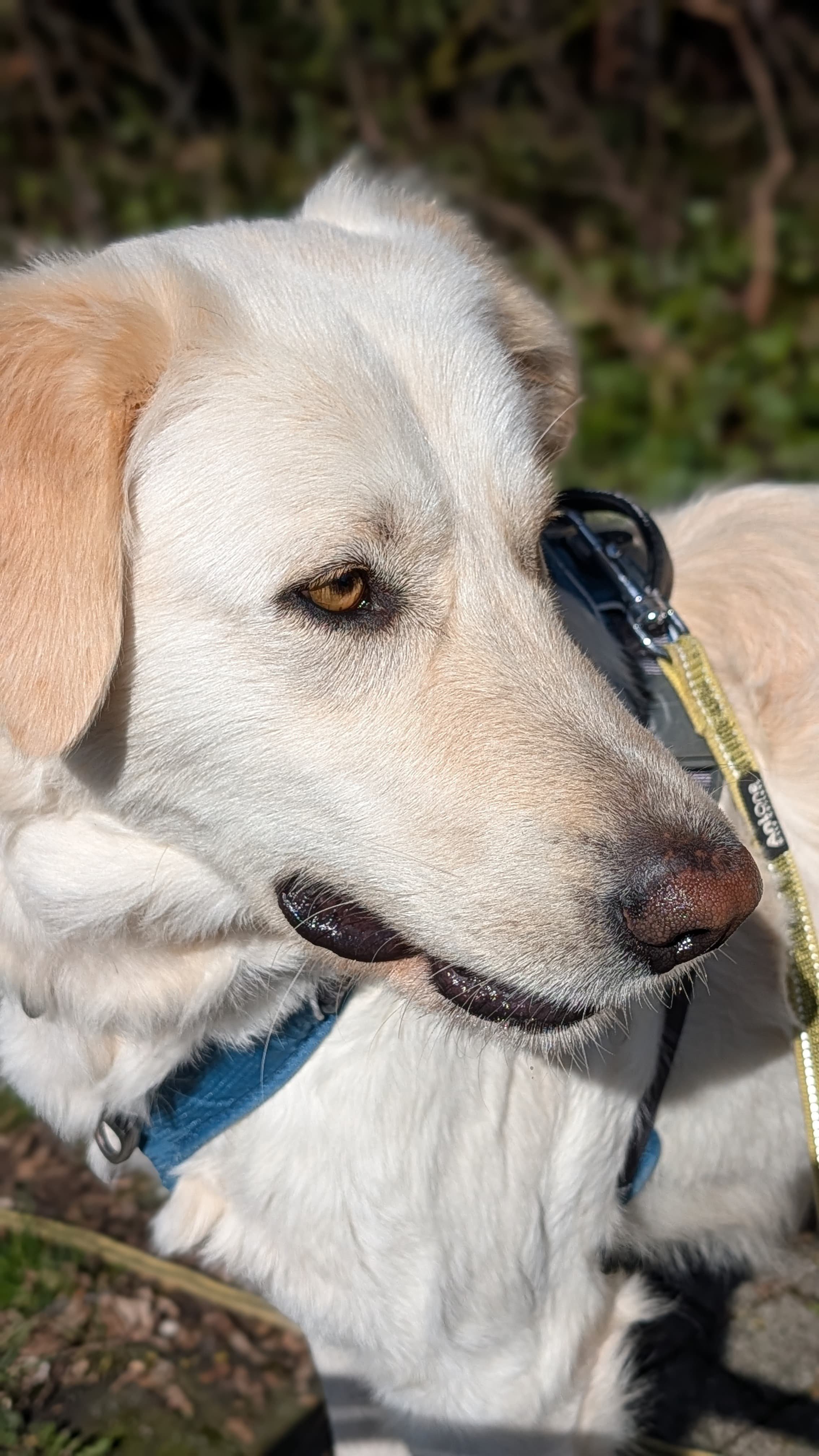 WhatsApp Image 2026-04-08 at 14.38.16.jpeg