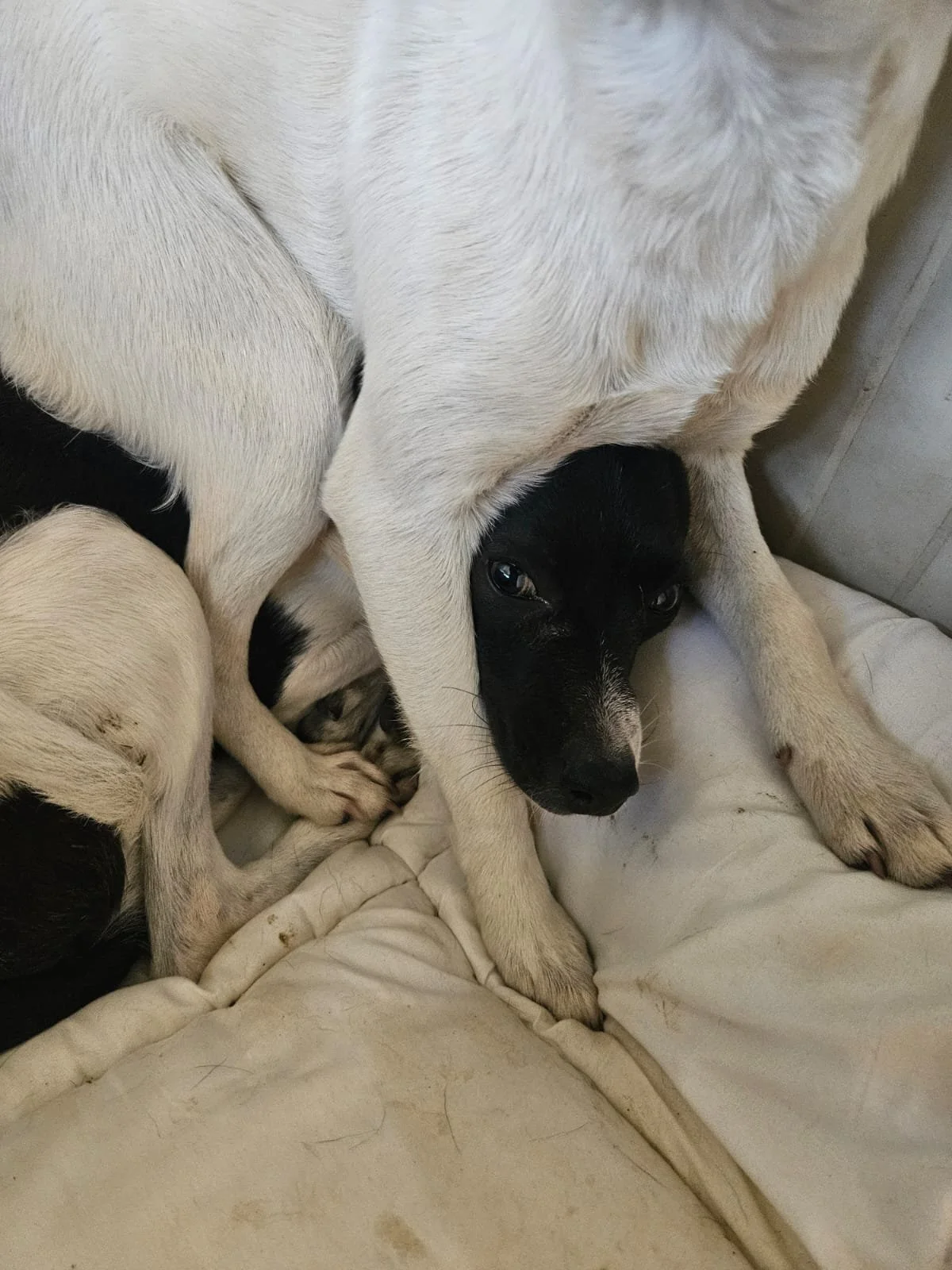 PHOTO-2025-11-13-14-57-26 2.jpg