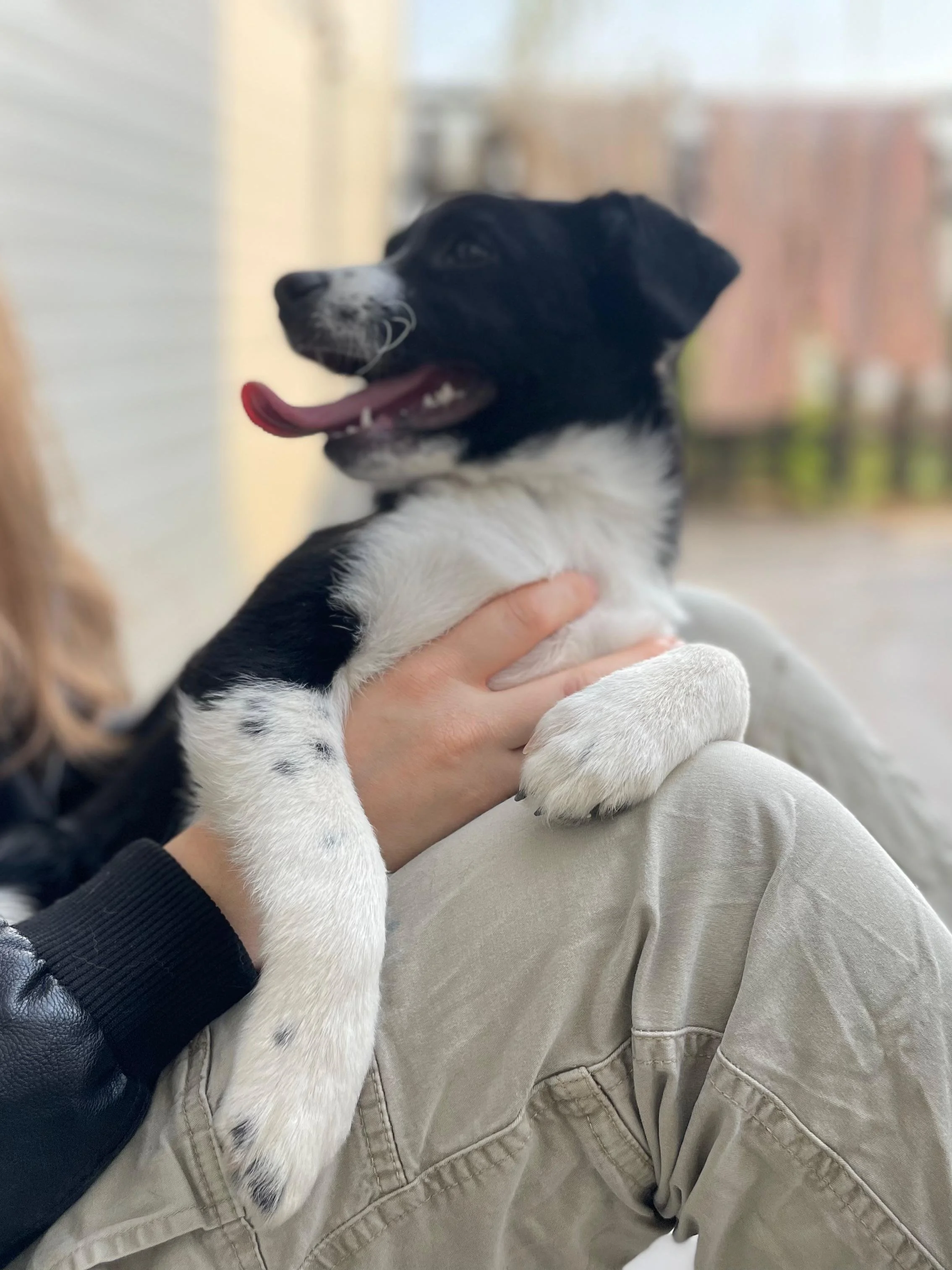 PHOTO-2026-03-11-14-45-34 4.jpg