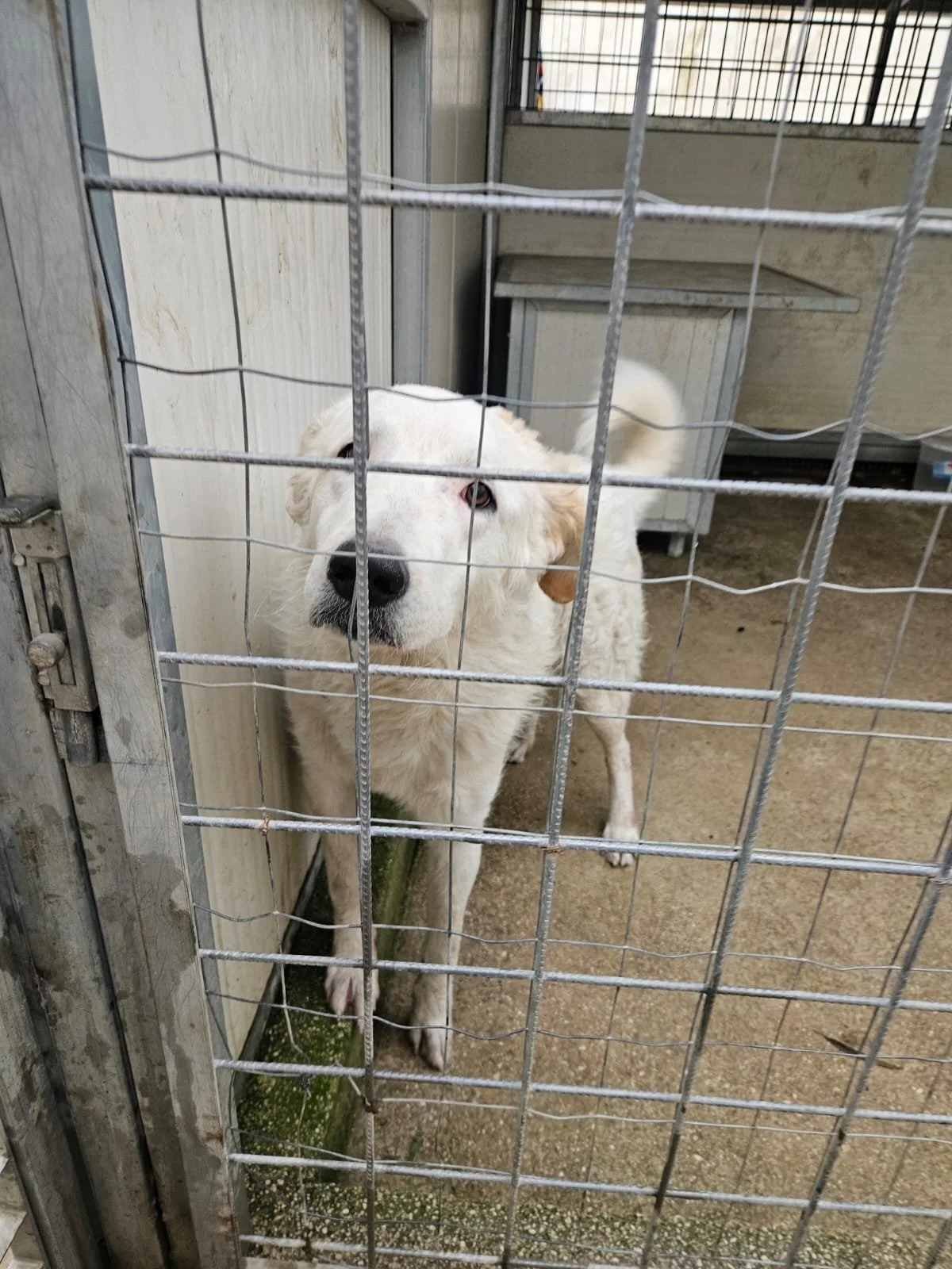 PHOTO-2026-01-07-15-24-14 6.jpg