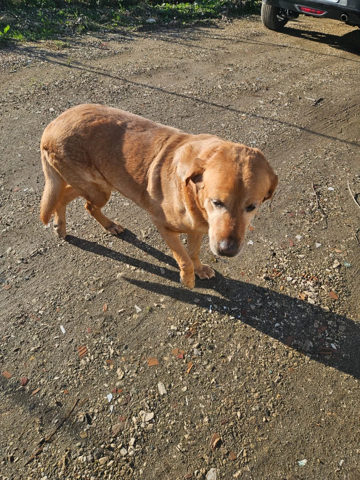 PHOTO-2026-02-03-11-53-52 8.jpg