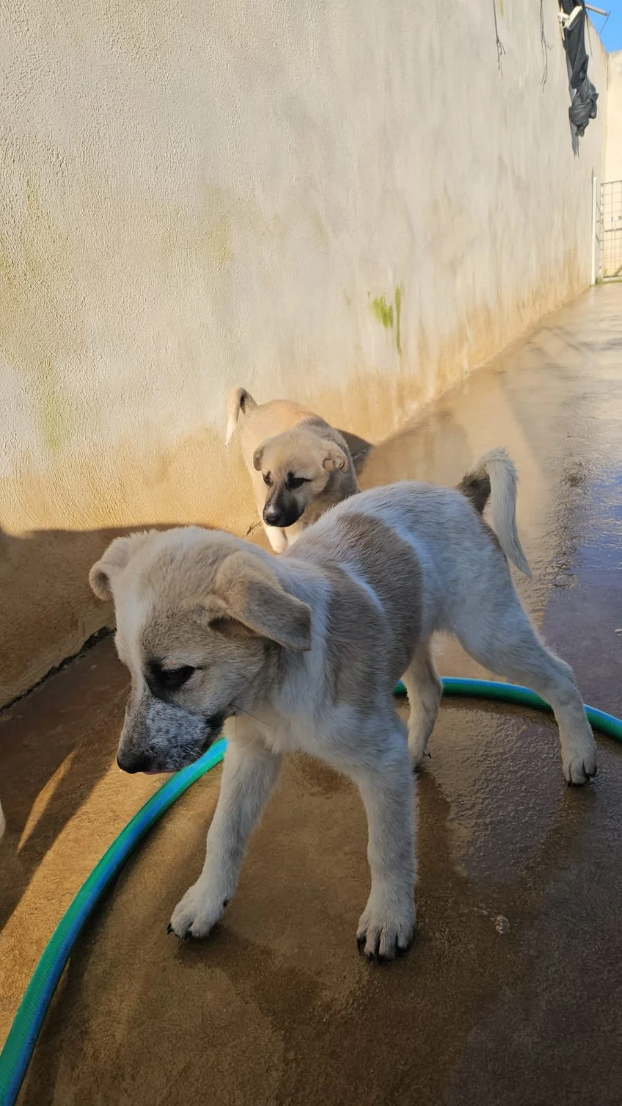 PHOTO-2026-02-02-08-56-45 4.jpg