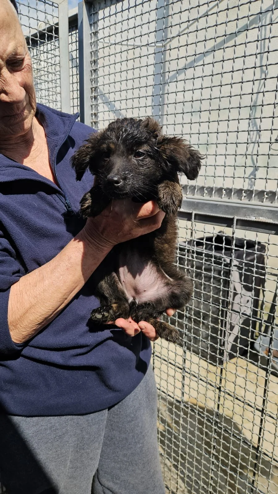 PHOTO-2026-03-20-12-47-10 2.jpg