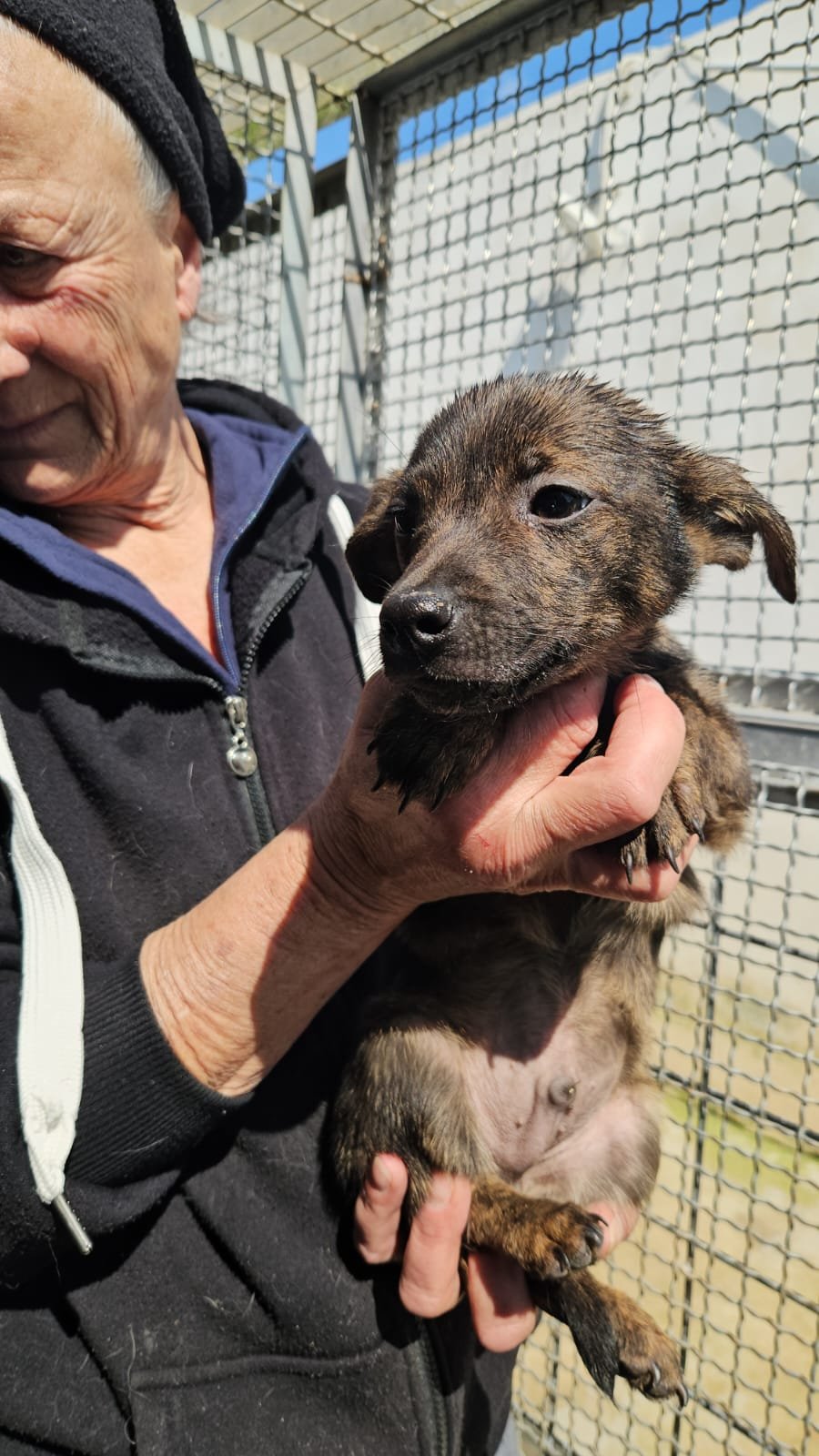 PHOTO-2026-03-20-12-49-41 4.jpg