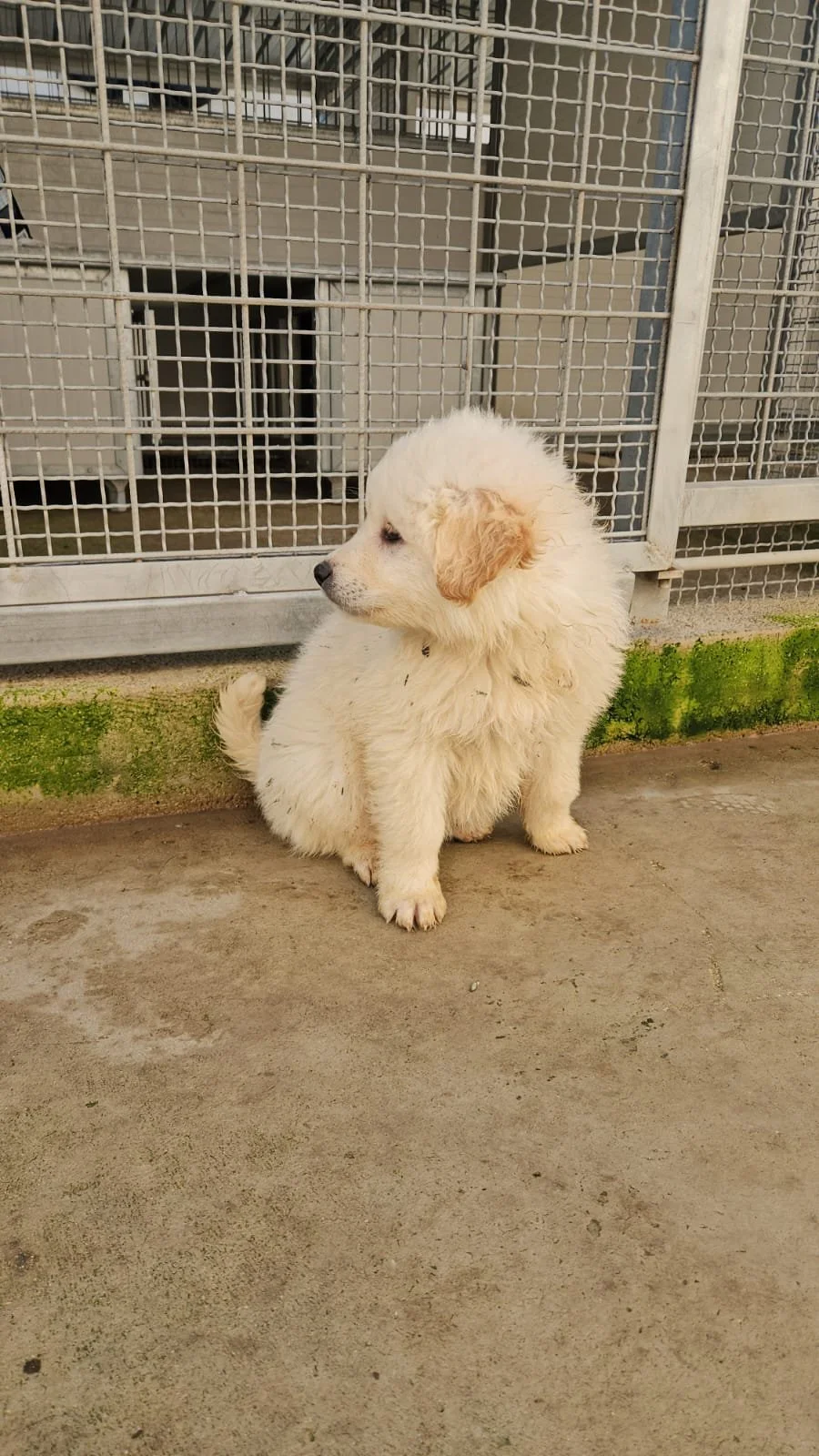 PHOTO-2025-12-10-12-27-10 2.jpg