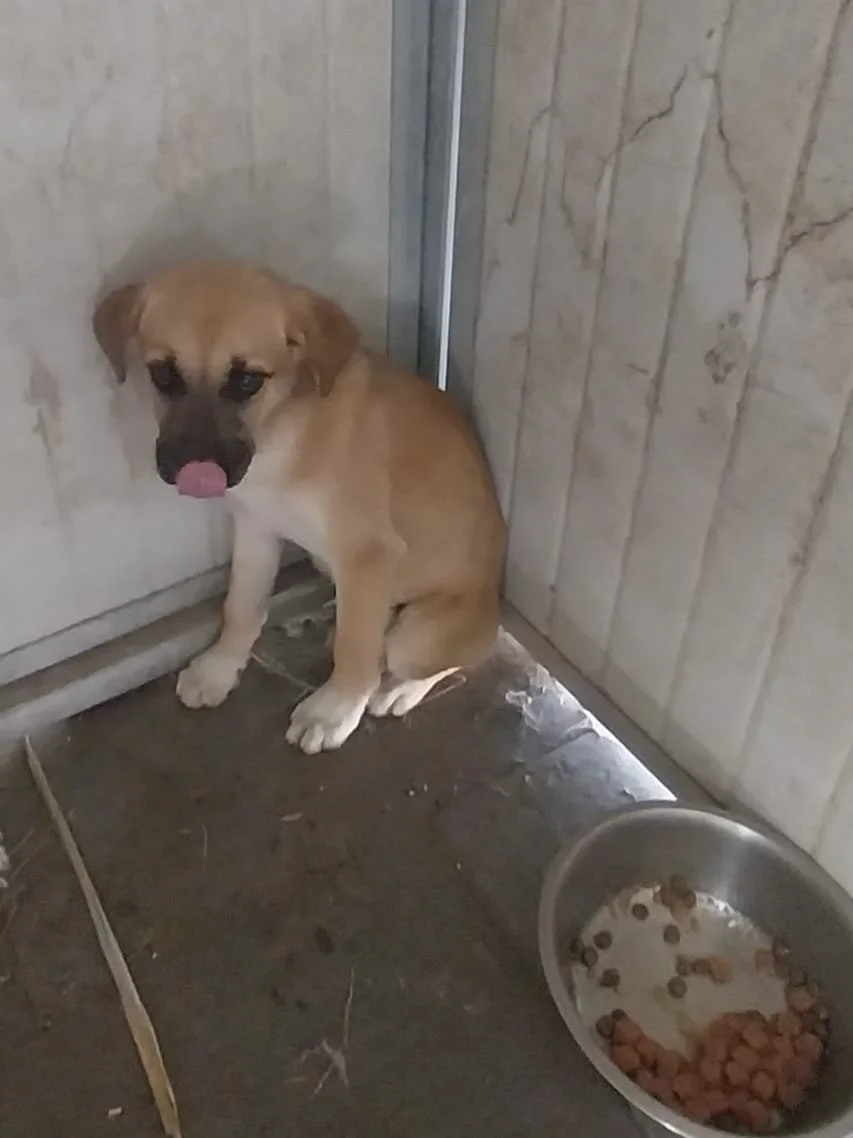 PHOTO-2026-04-28-15-34-12 2.jpg