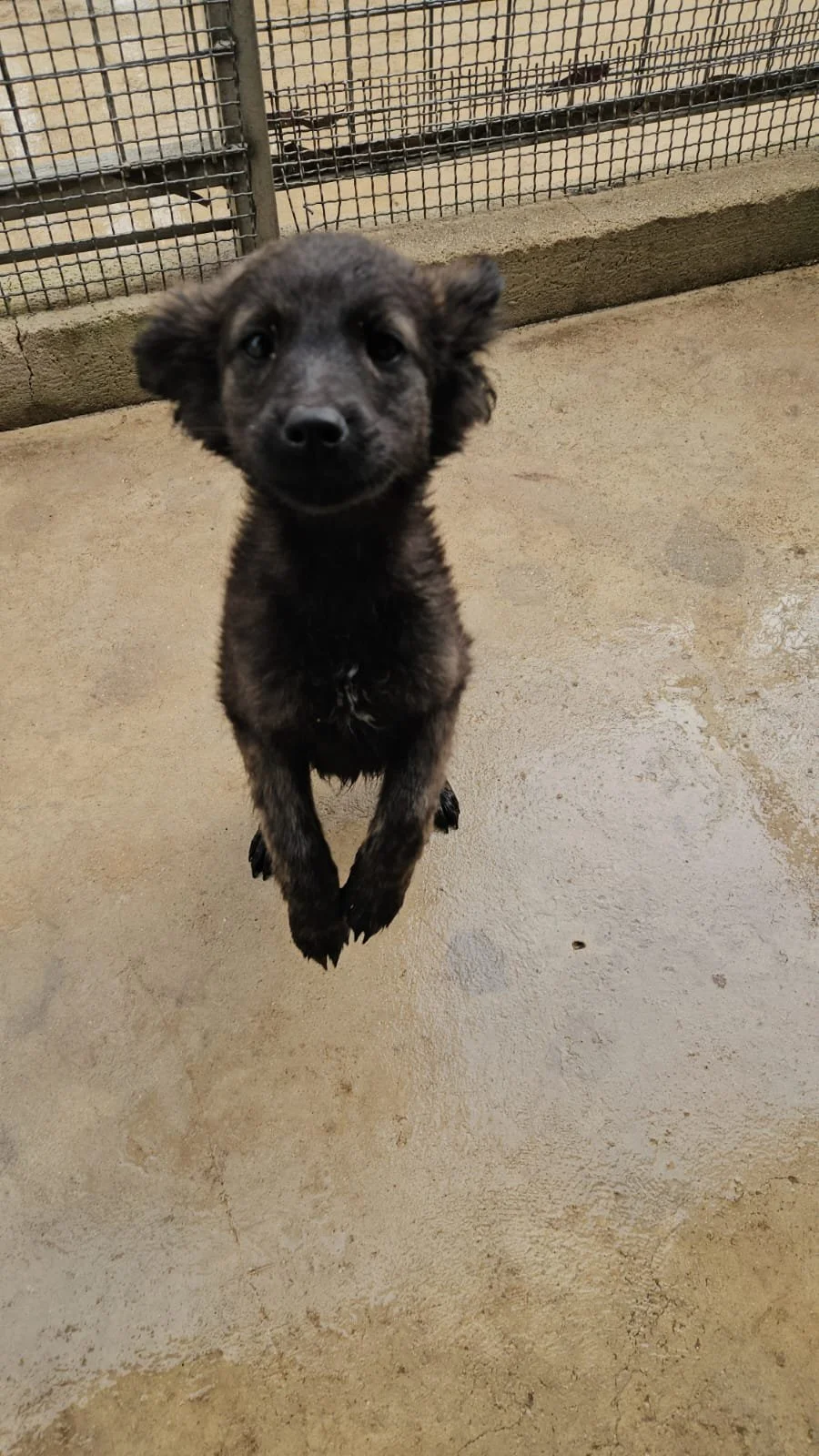 PHOTO-2026-04-09-09-39-27 3.jpg