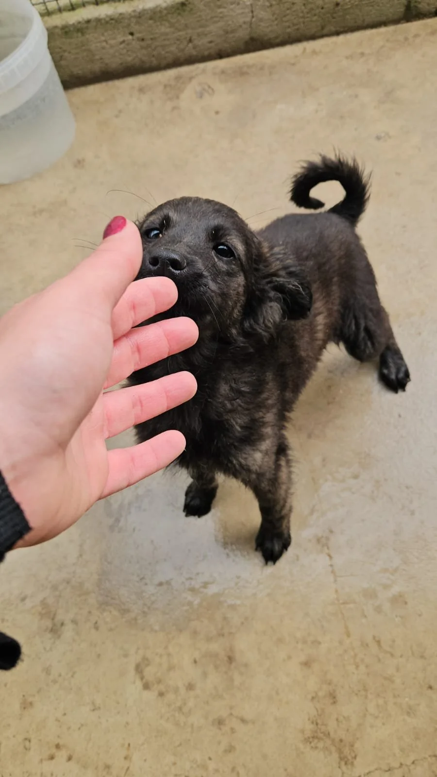 PHOTO-2026-04-09-09-39-26 3.jpg