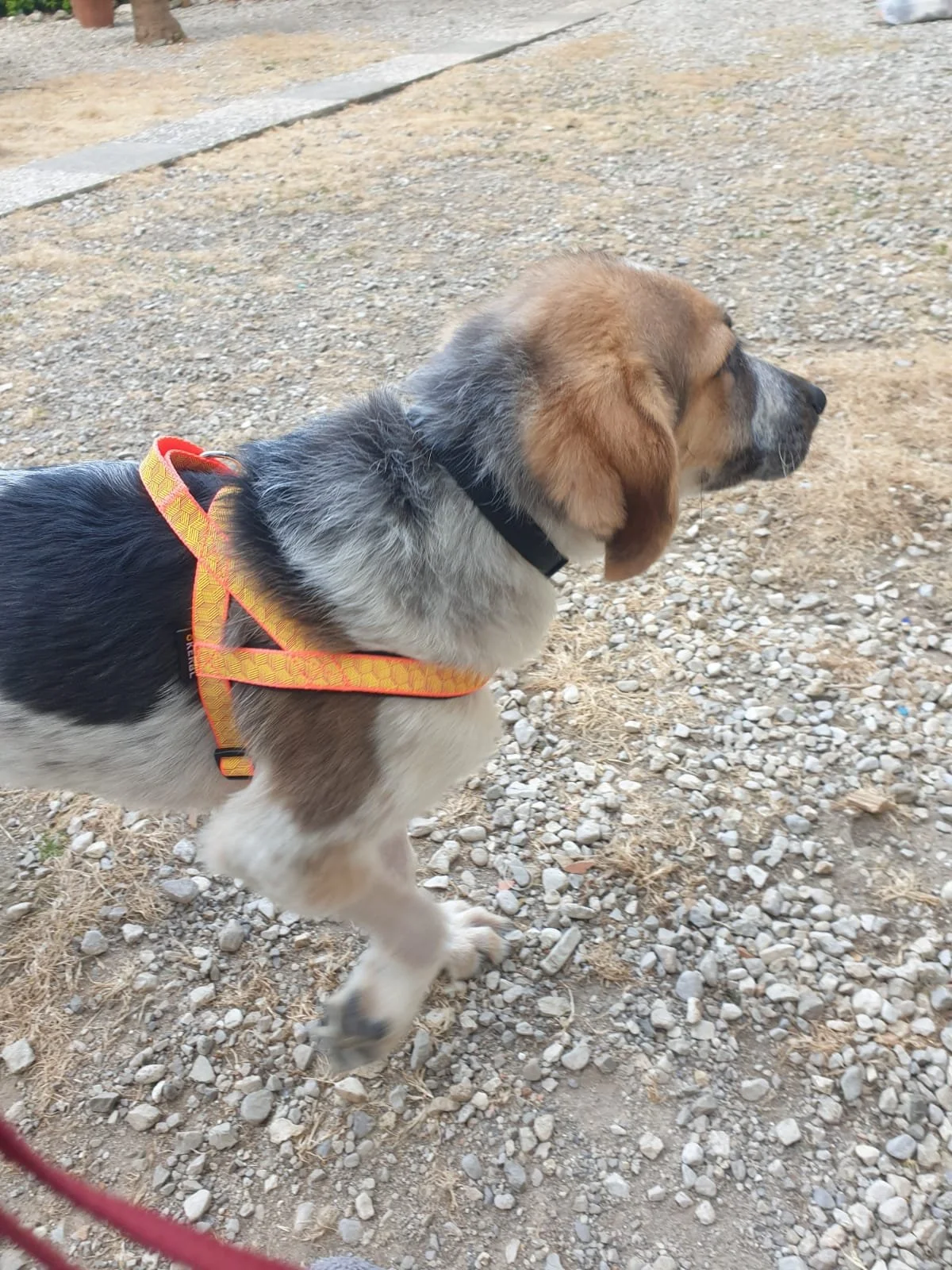 PHOTO-2026-04-27-20-20-57 4.jpg