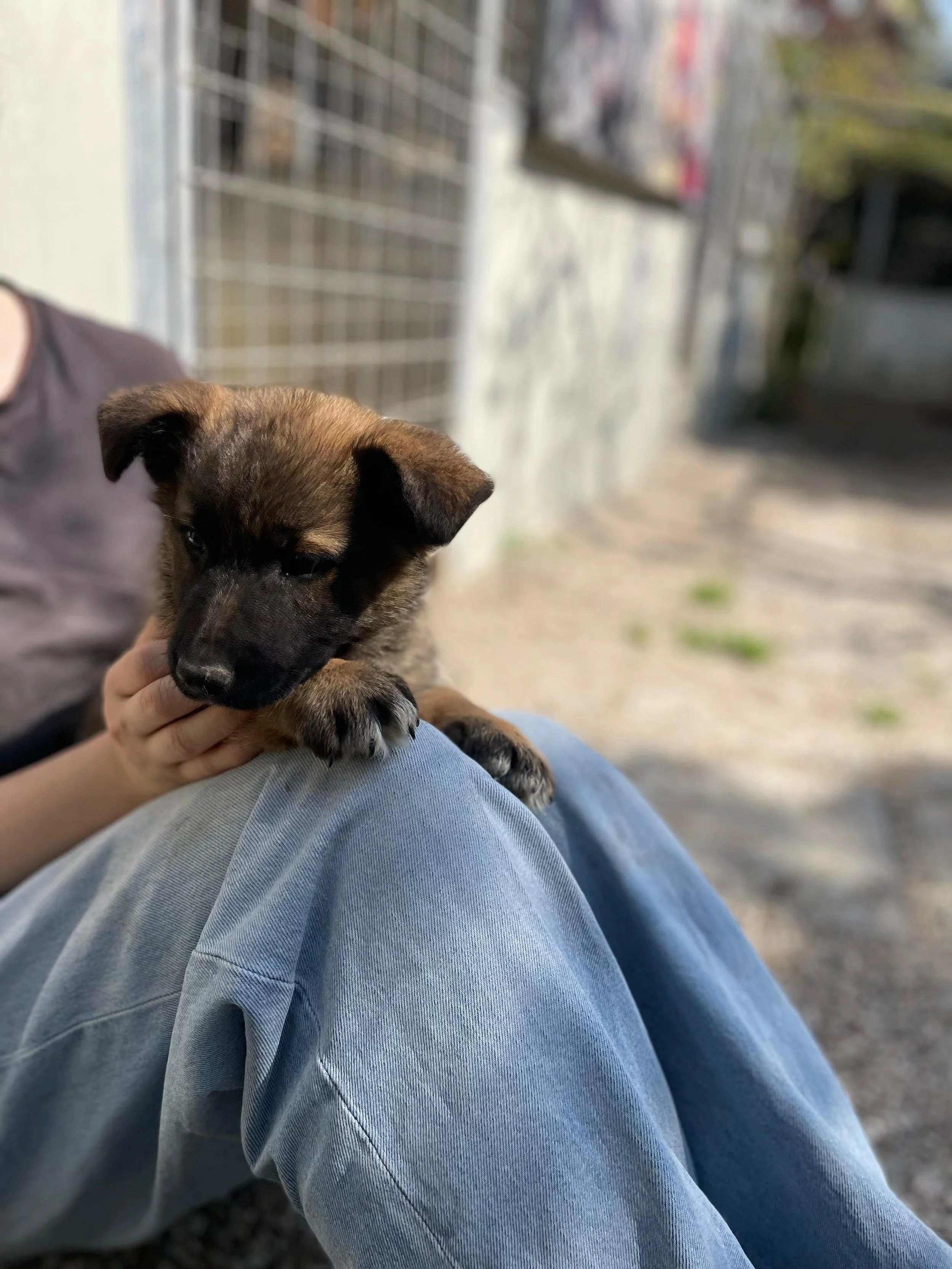 PHOTO-2026-03-11-14-18-28 4.jpg