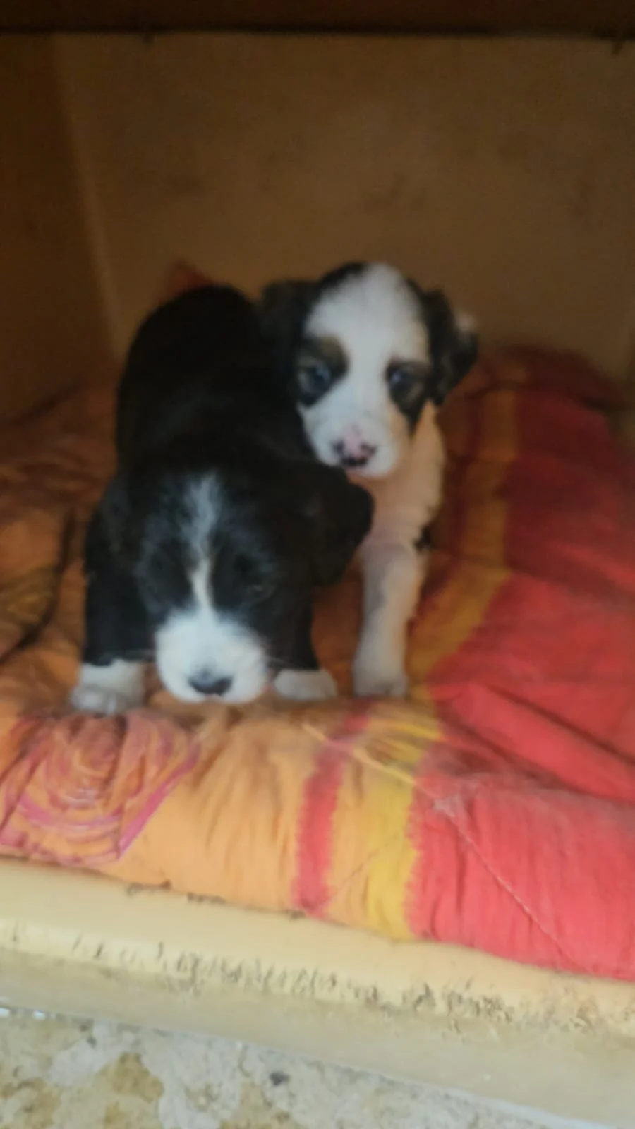 PHOTO-2026-04-27-20-54-24 3.jpg