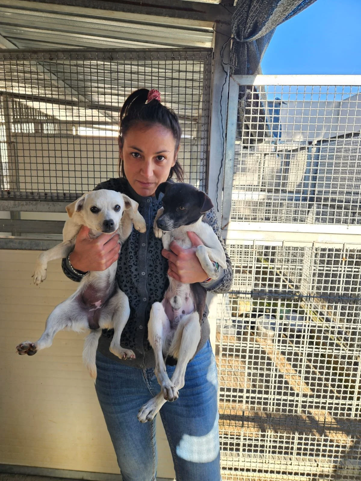 PHOTO-2025-11-13-14-57-27 3.jpg