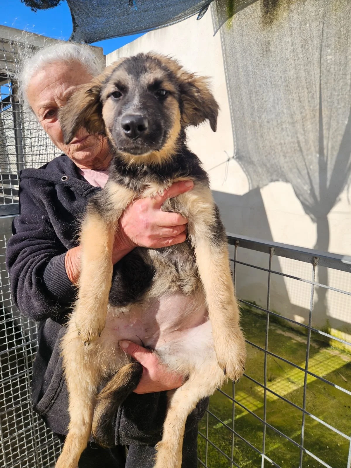 PHOTO-2026-02-02-12-37-51 2.jpg