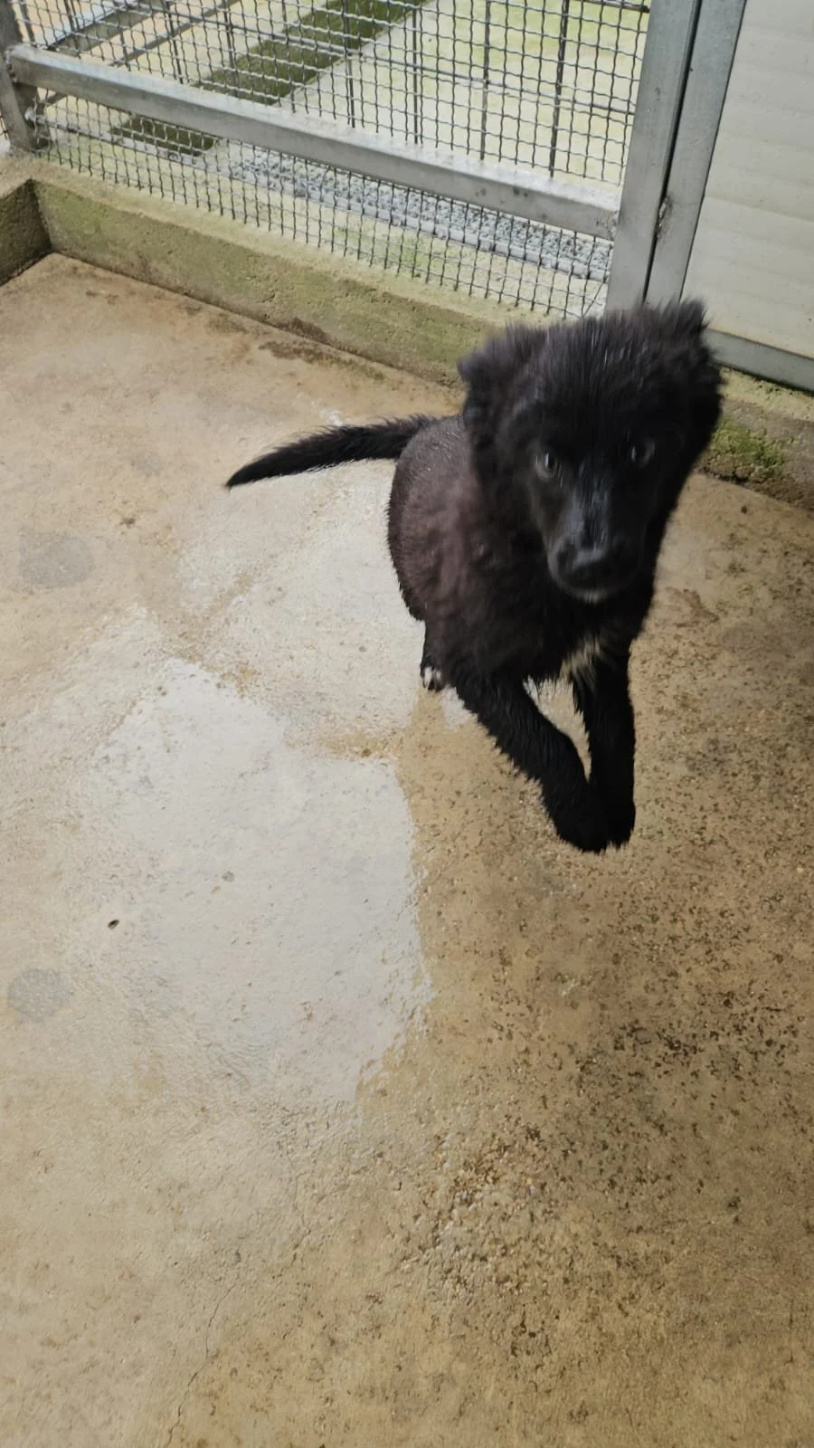 PHOTO-2026-04-09-09-40-50 3.jpg