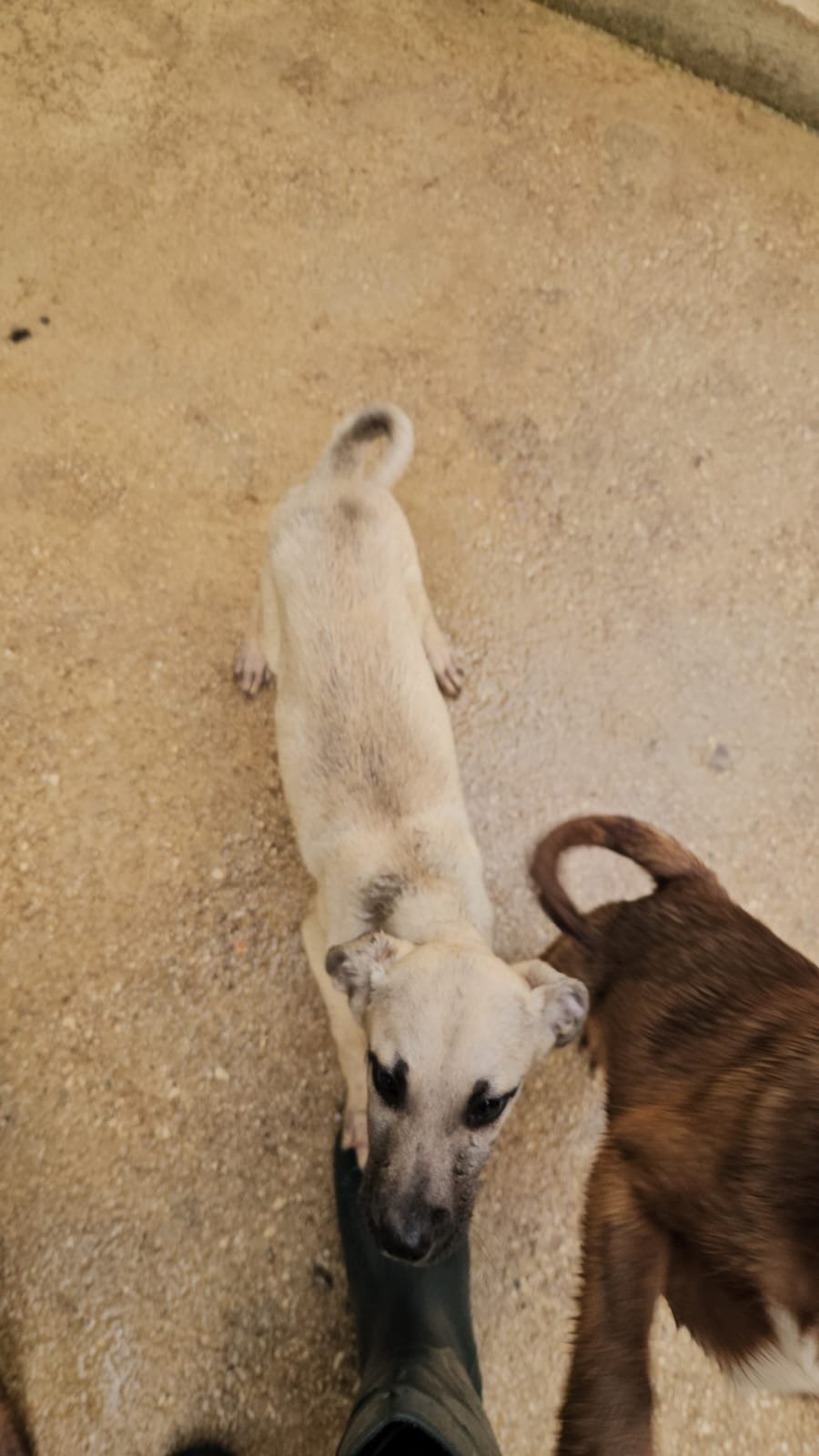 PHOTO-2026-04-09-09-42-43 3.jpg