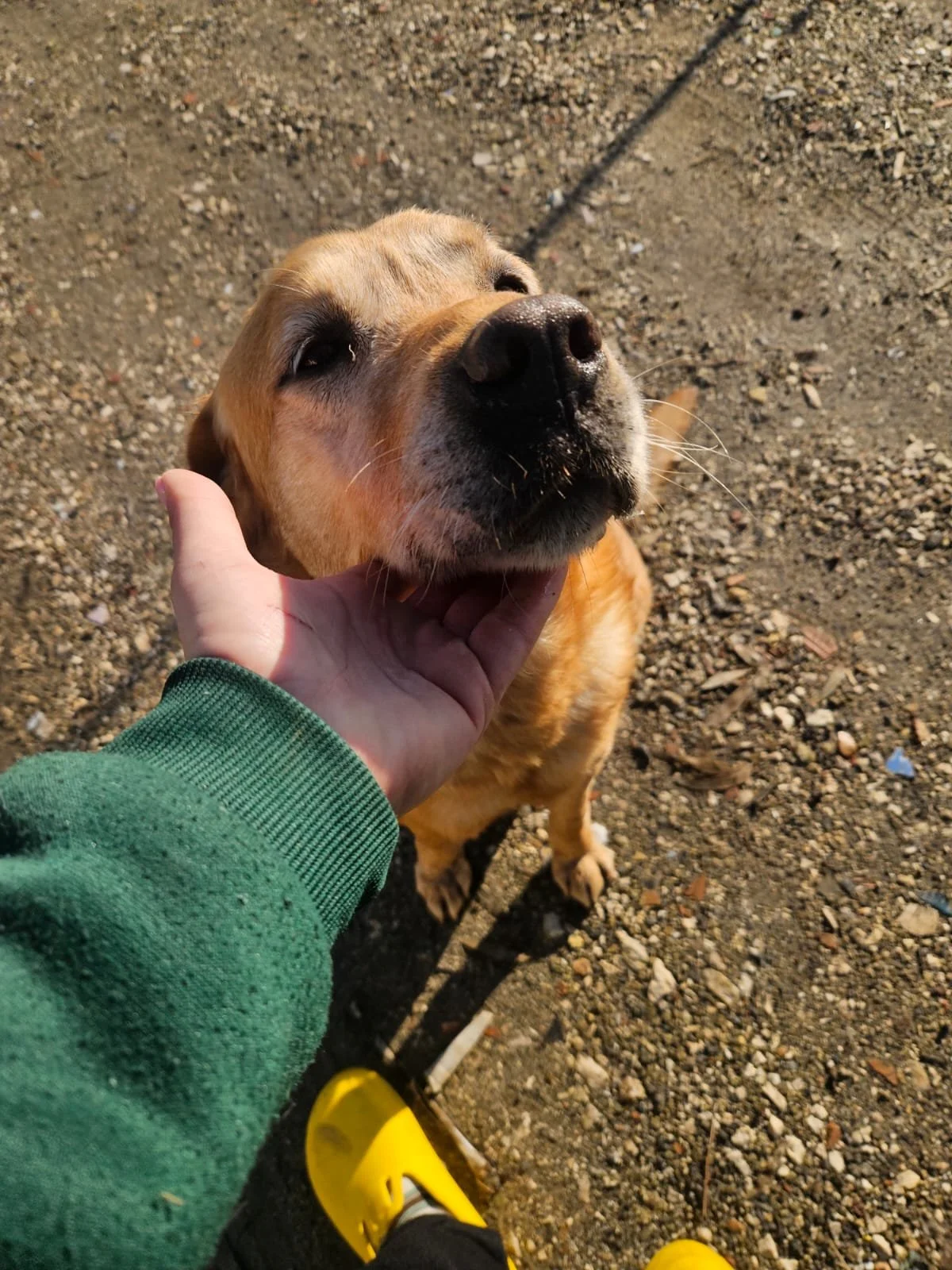 PHOTO-2026-02-03-11-53-51 7.jpg