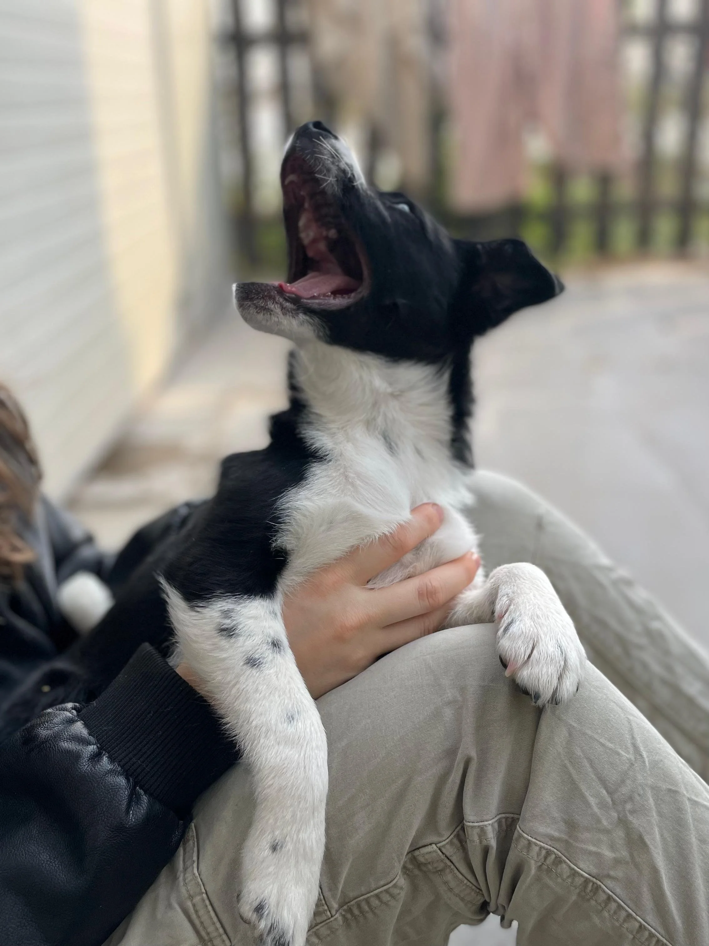 PHOTO-2026-03-11-14-45-34 2.jpg