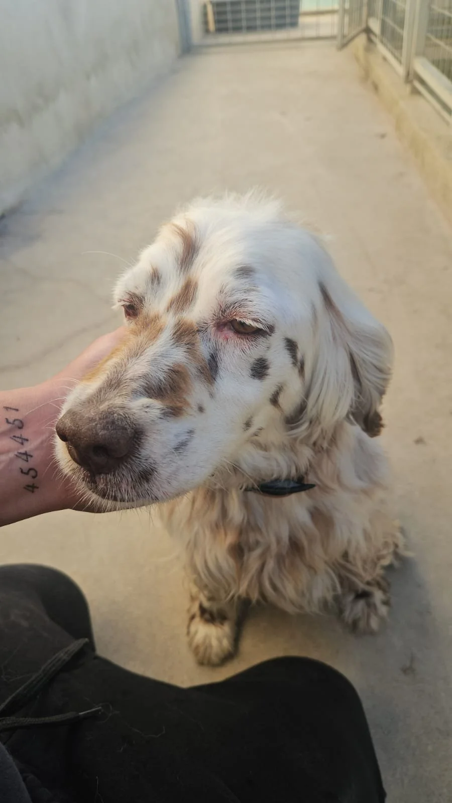 PHOTO-2026-04-27-18-32-11 2.jpg