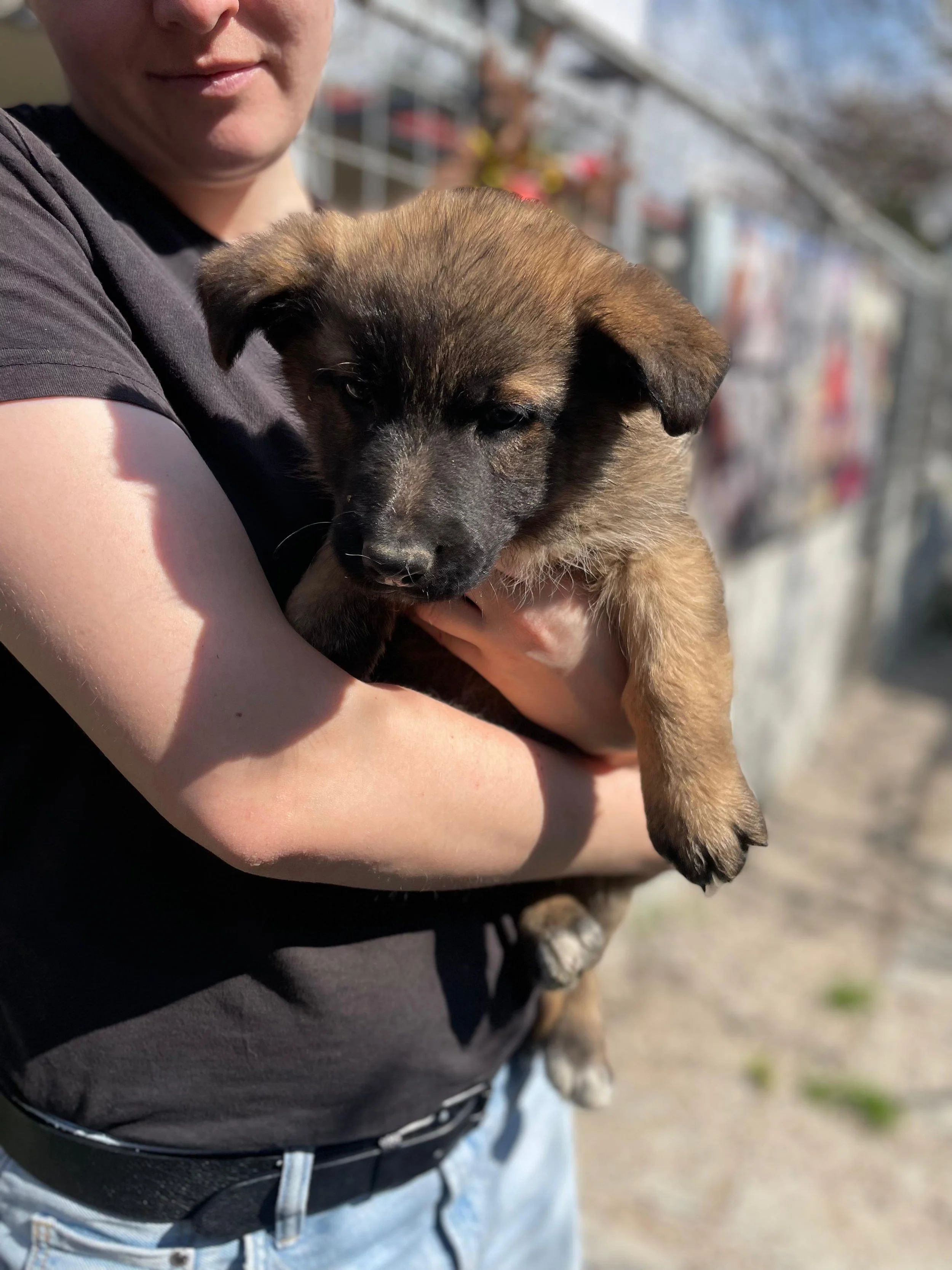 PHOTO-2026-03-11-14-18-27 3.jpg