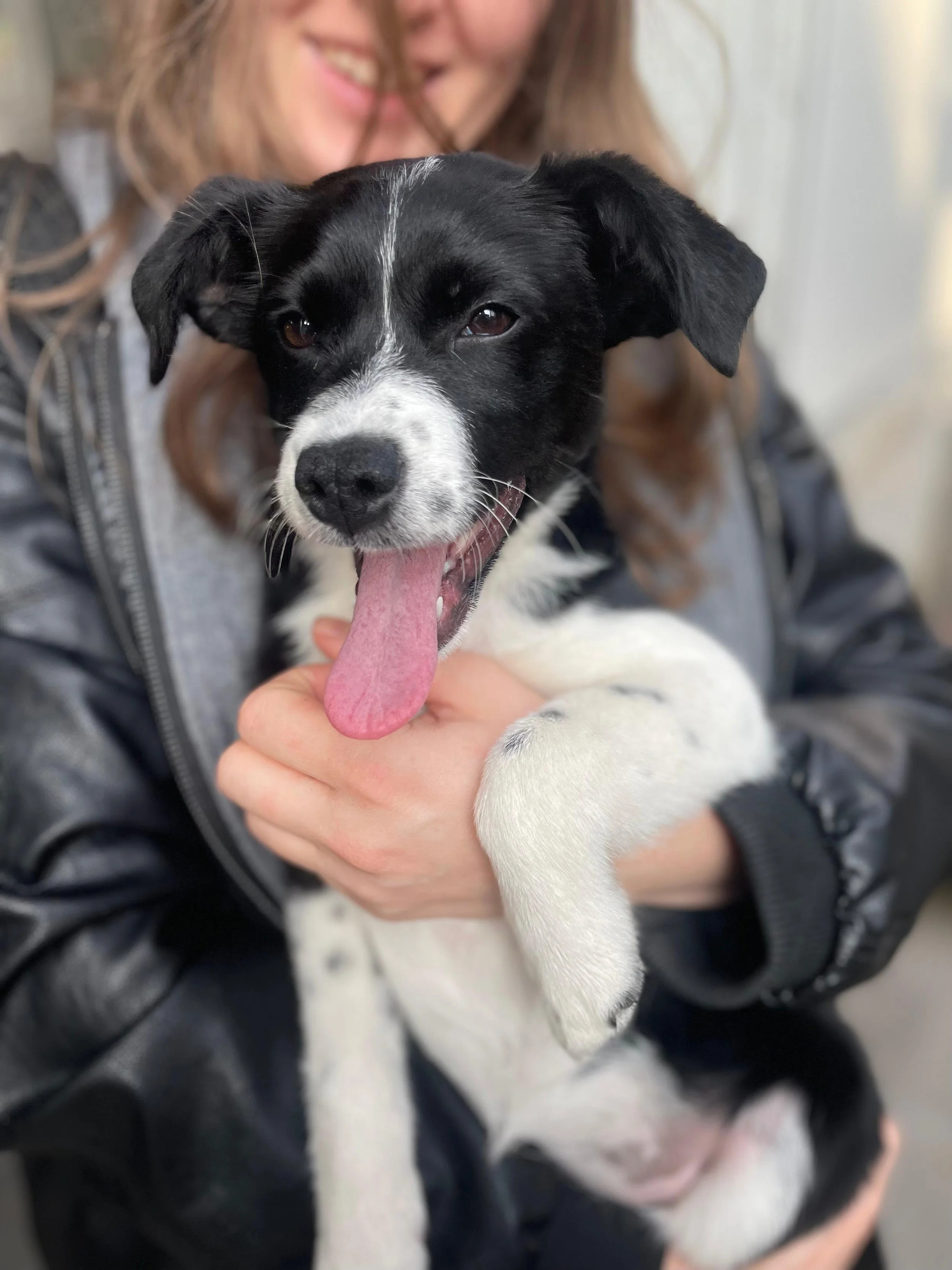 PHOTO-2026-03-11-14-45-36 3.jpg