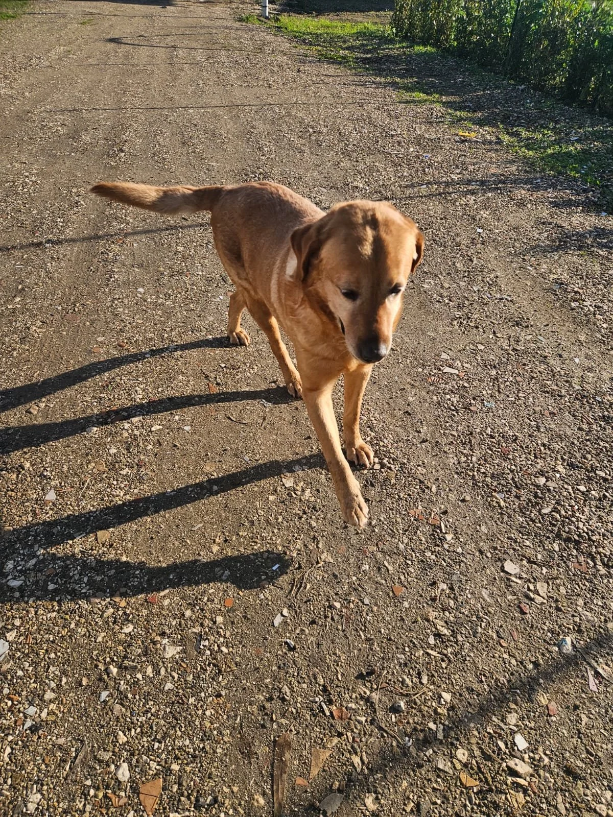 PHOTO-2026-02-03-11-53-52 6.jpg