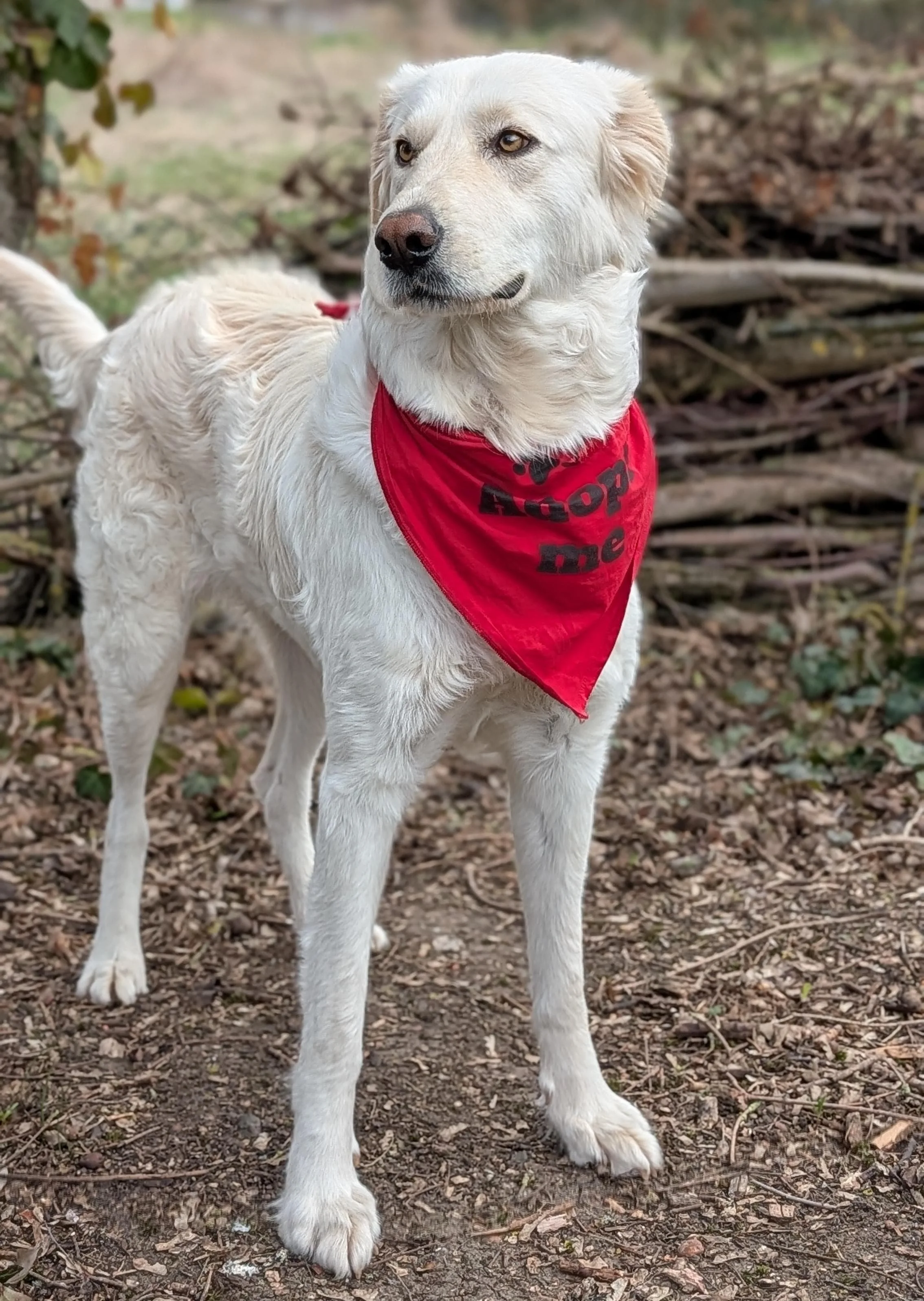 WhatsApp Image 2026-04-08 at 14.38.18.jpeg