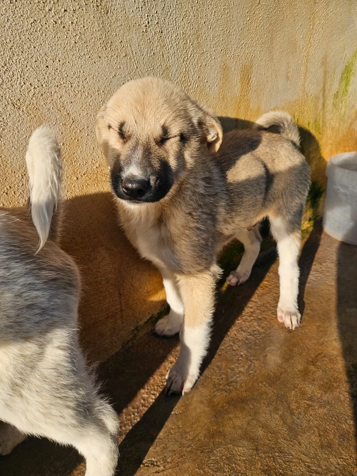 PHOTO-2026-02-02-08-56-44 4.jpg