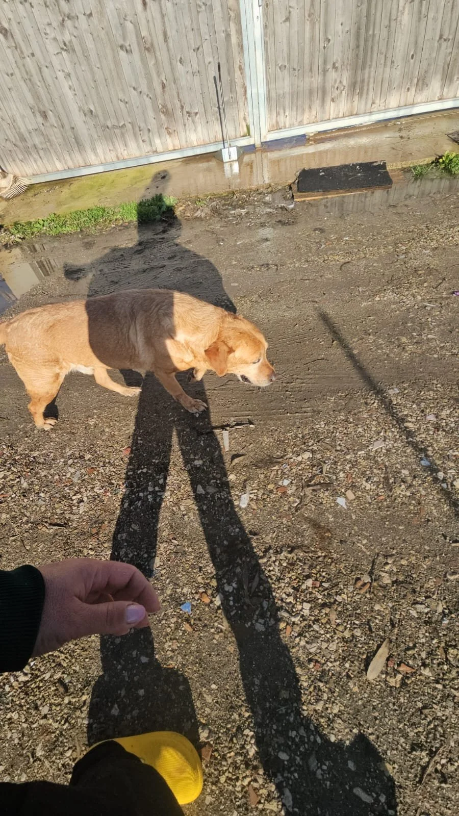 PHOTO-2026-02-03-11-53-52 7.jpg