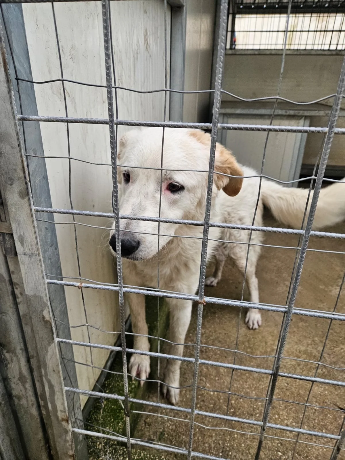 PHOTO-2026-01-07-15-24-15 2.jpg