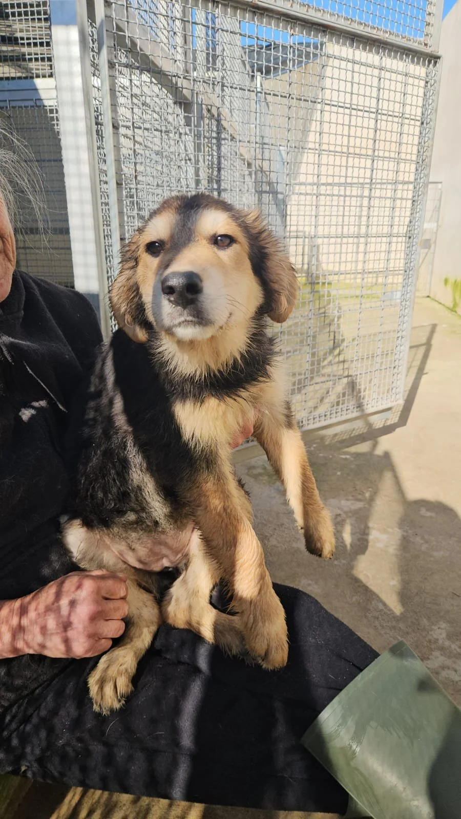 PHOTO-2026-02-02-12-39-01 2.jpg