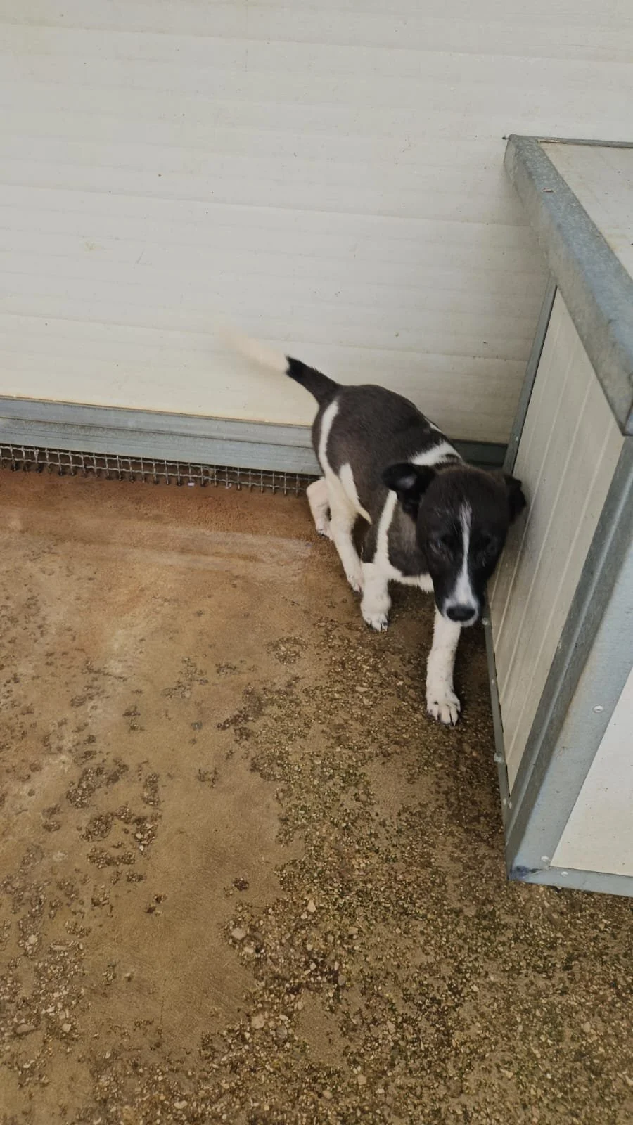 PHOTO-2026-04-09-09-34-34 2.jpg