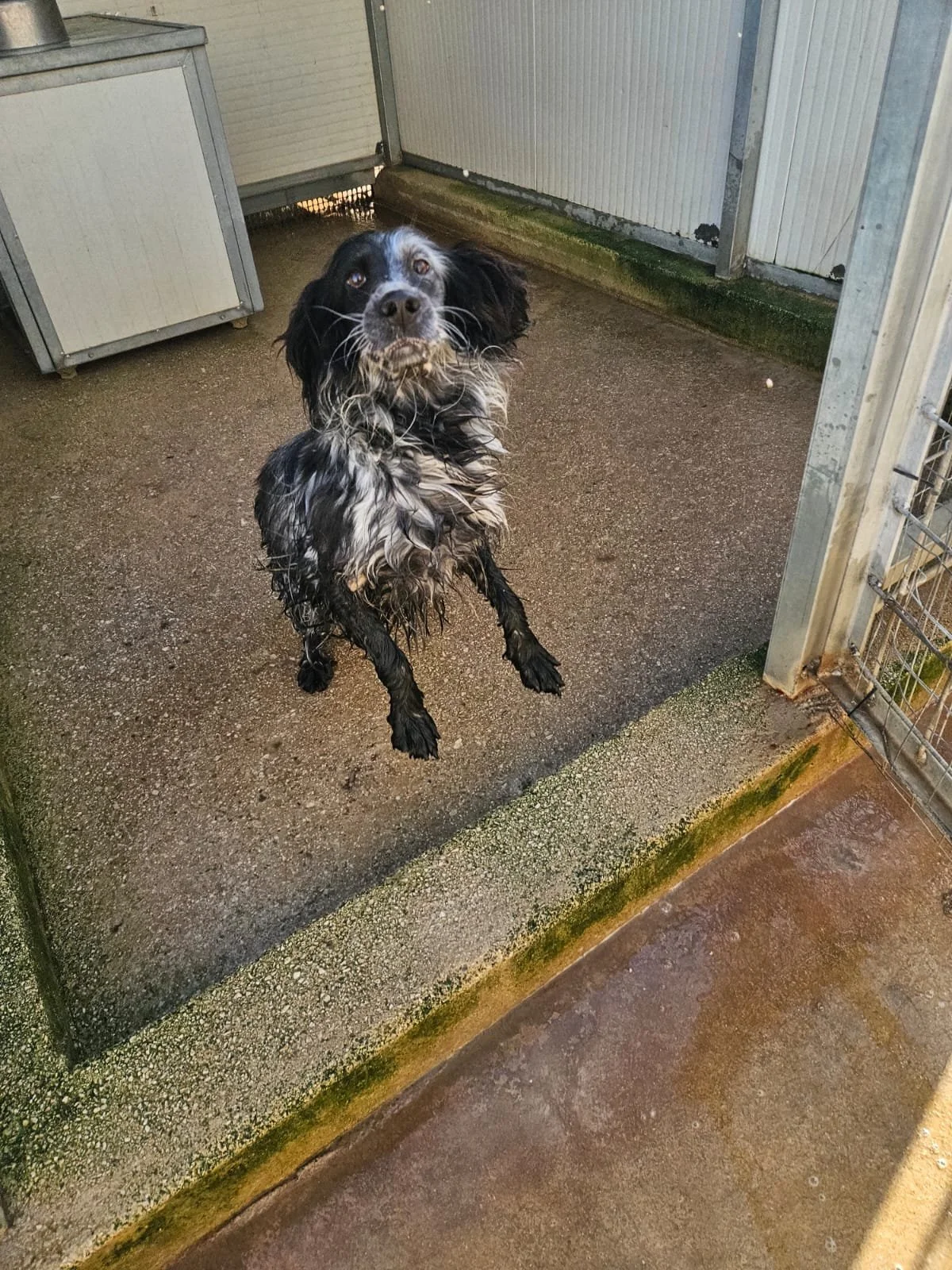 PHOTO-2026-02-03-11-34-28 2.jpg