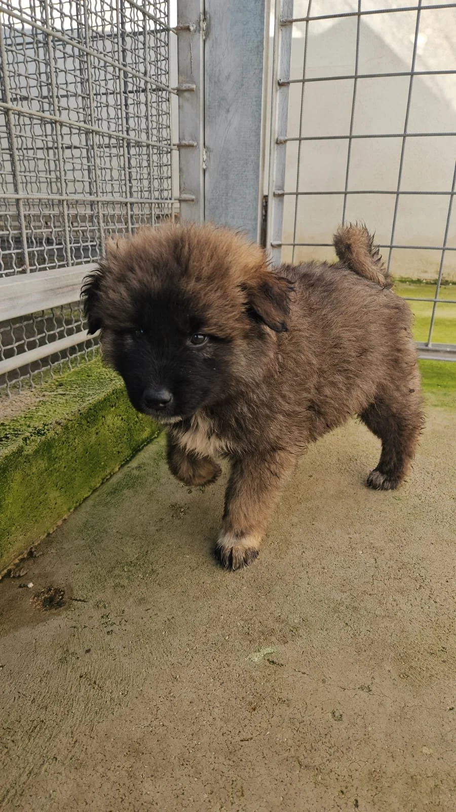 PHOTO-2025-12-10-12-23-18 3.jpg