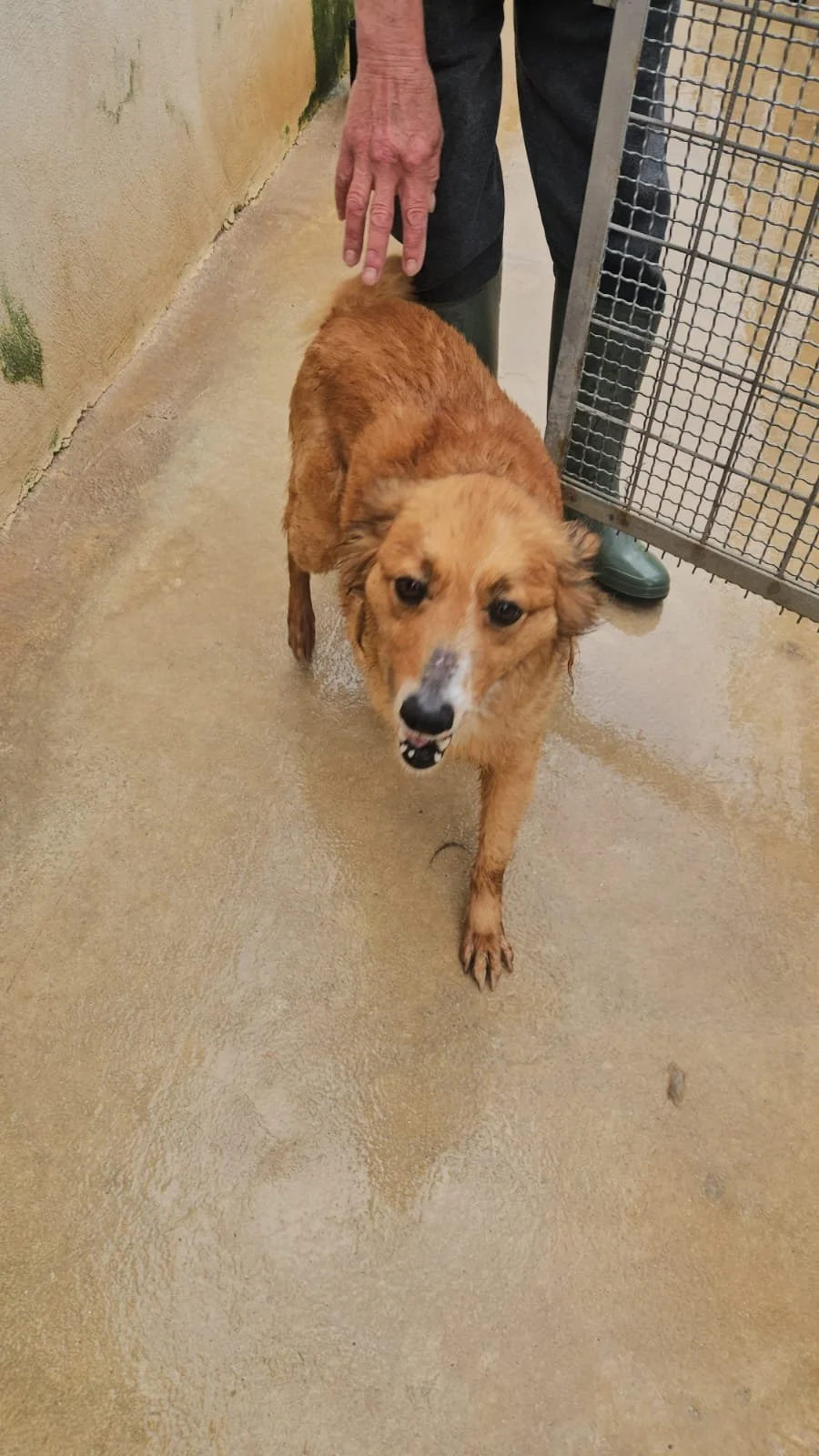 PHOTO-2026-04-14-08-29-16 4.jpg