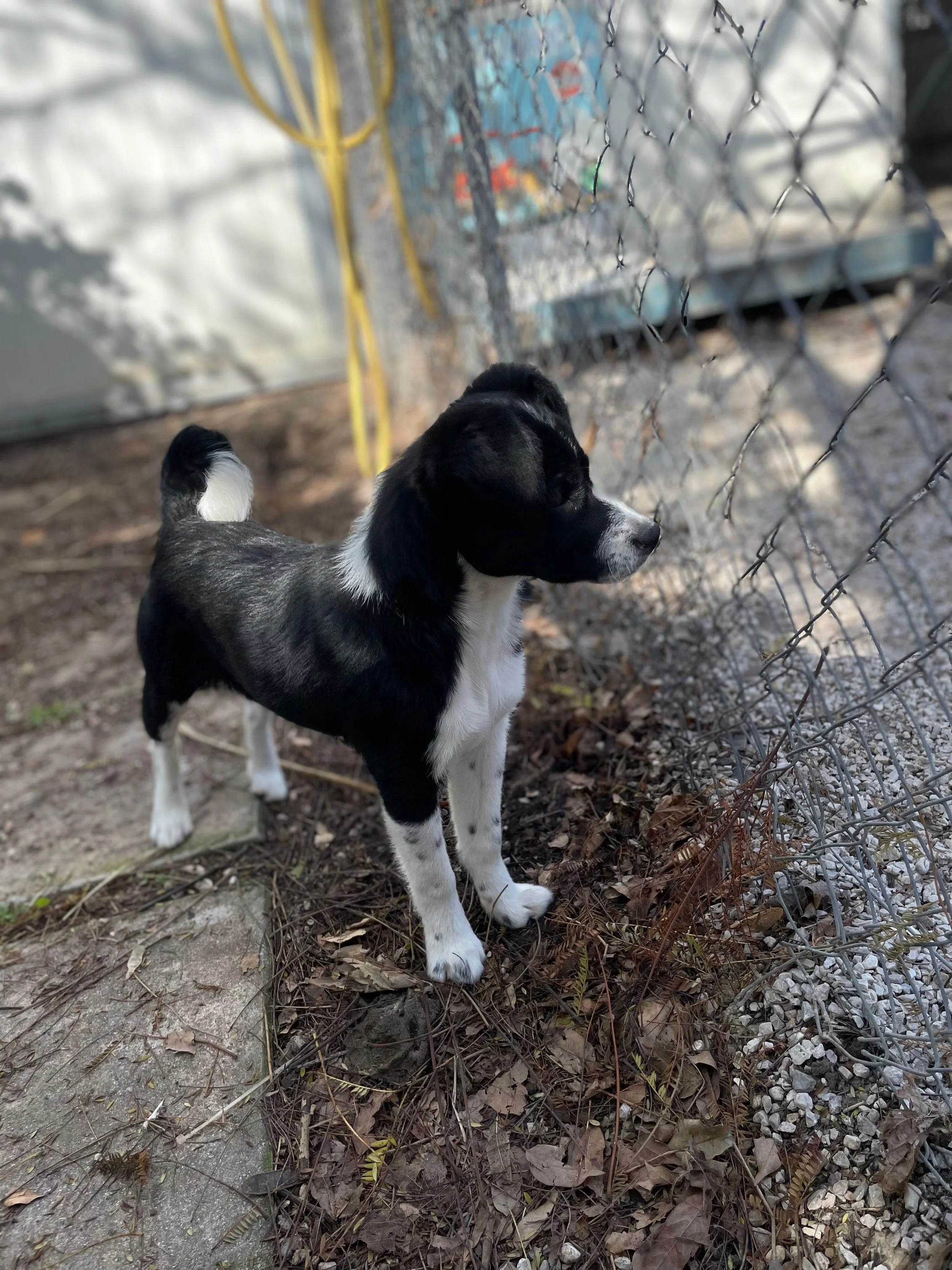 PHOTO-2026-03-11-14-45-37 5.jpg