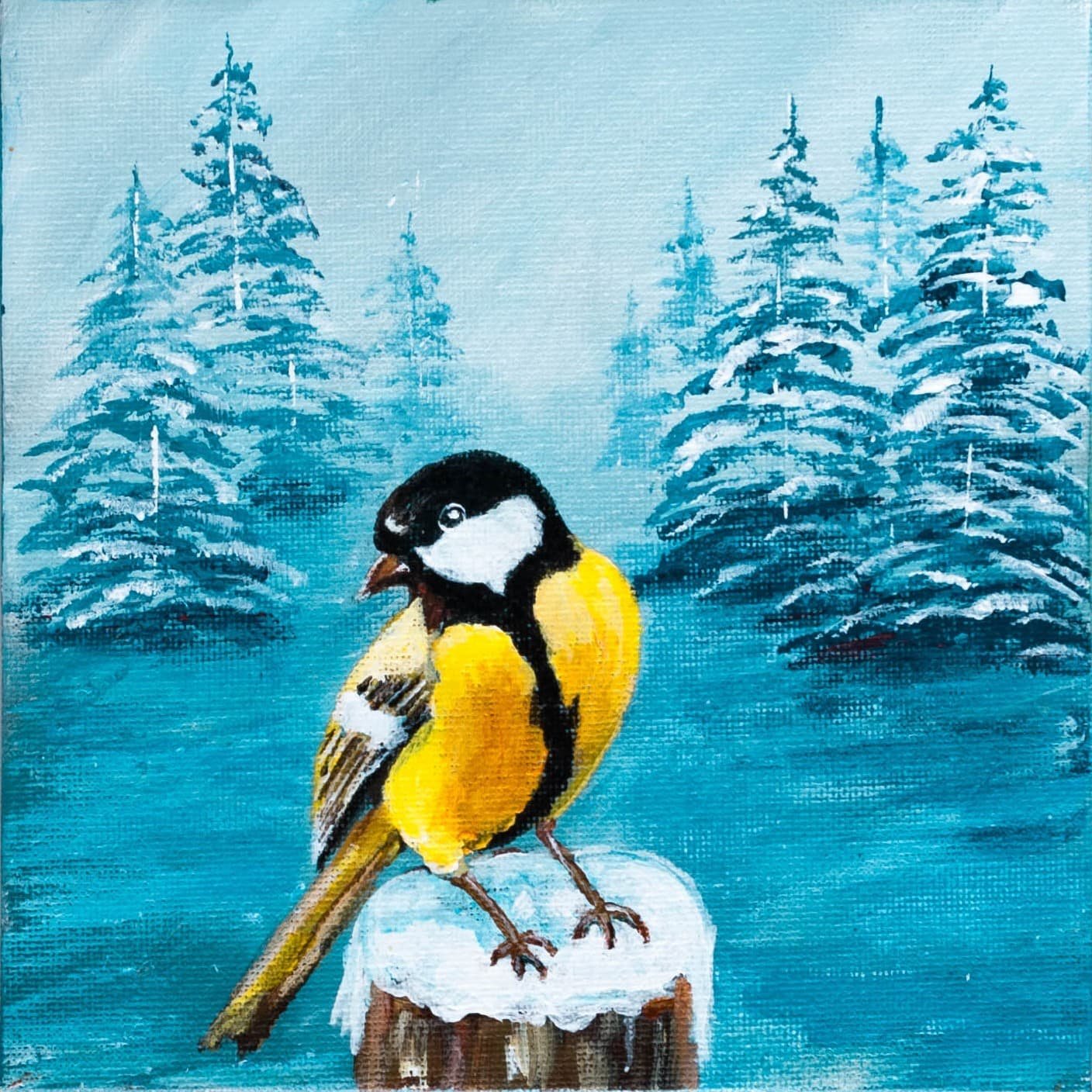 Great Tit