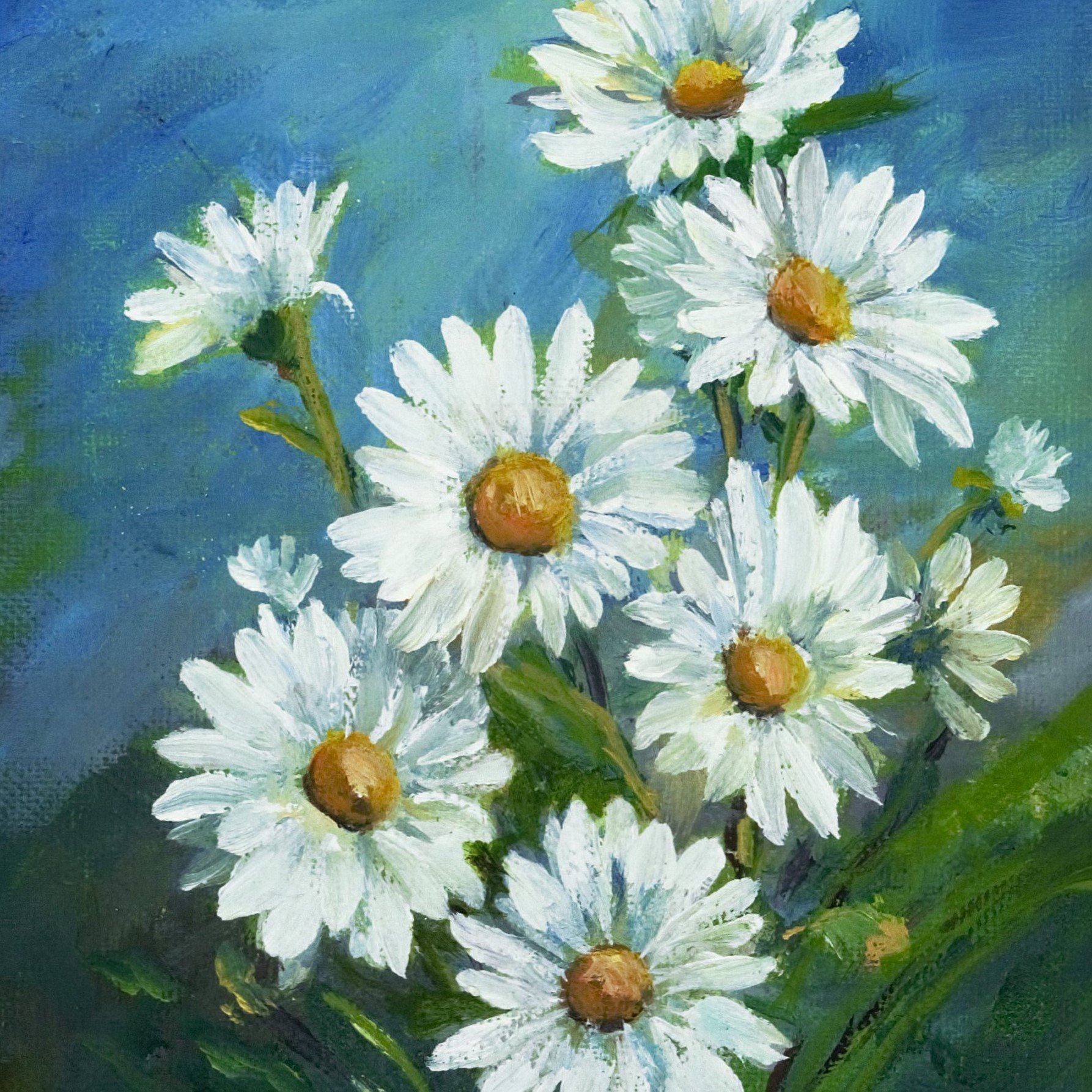 Daisies