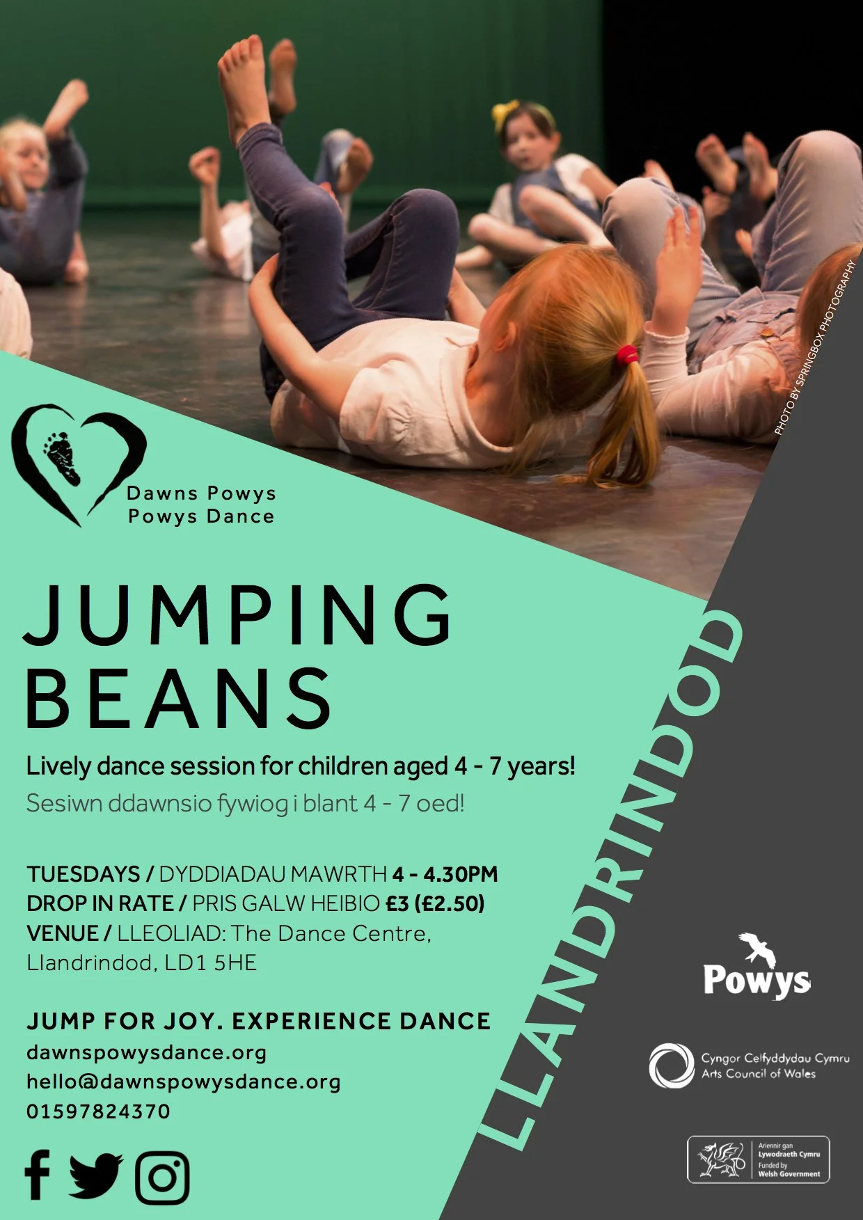 jumping beans 2018.jpg