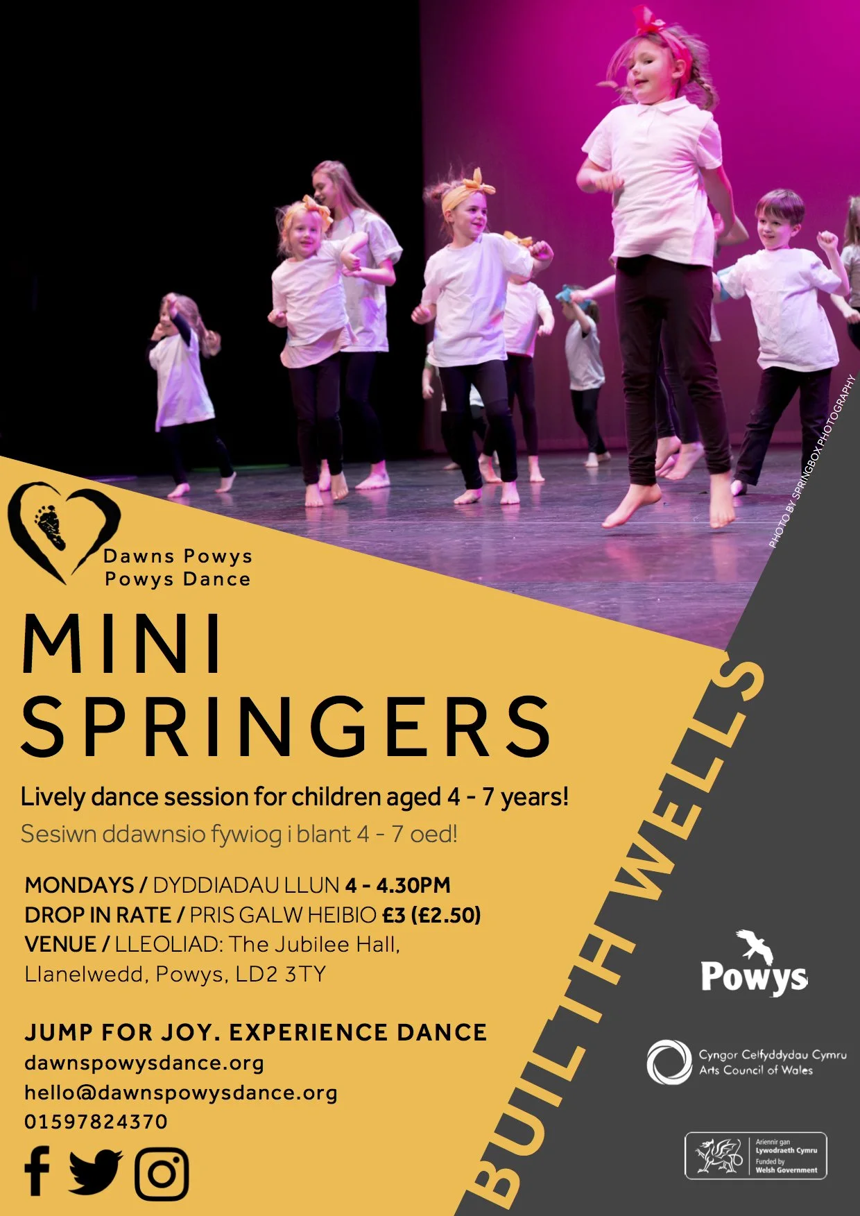 mini springers 2018.jpg