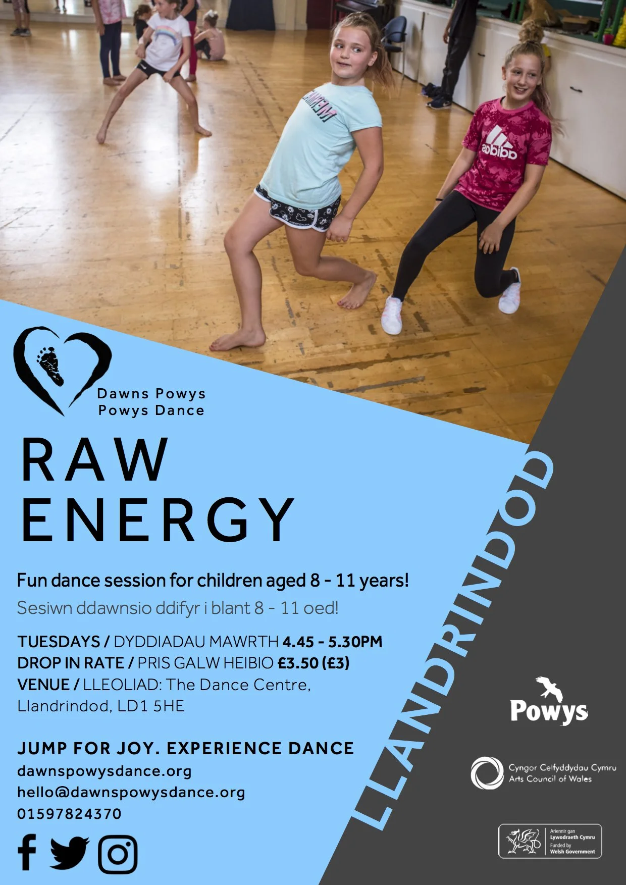 raw energy 2018.jpg