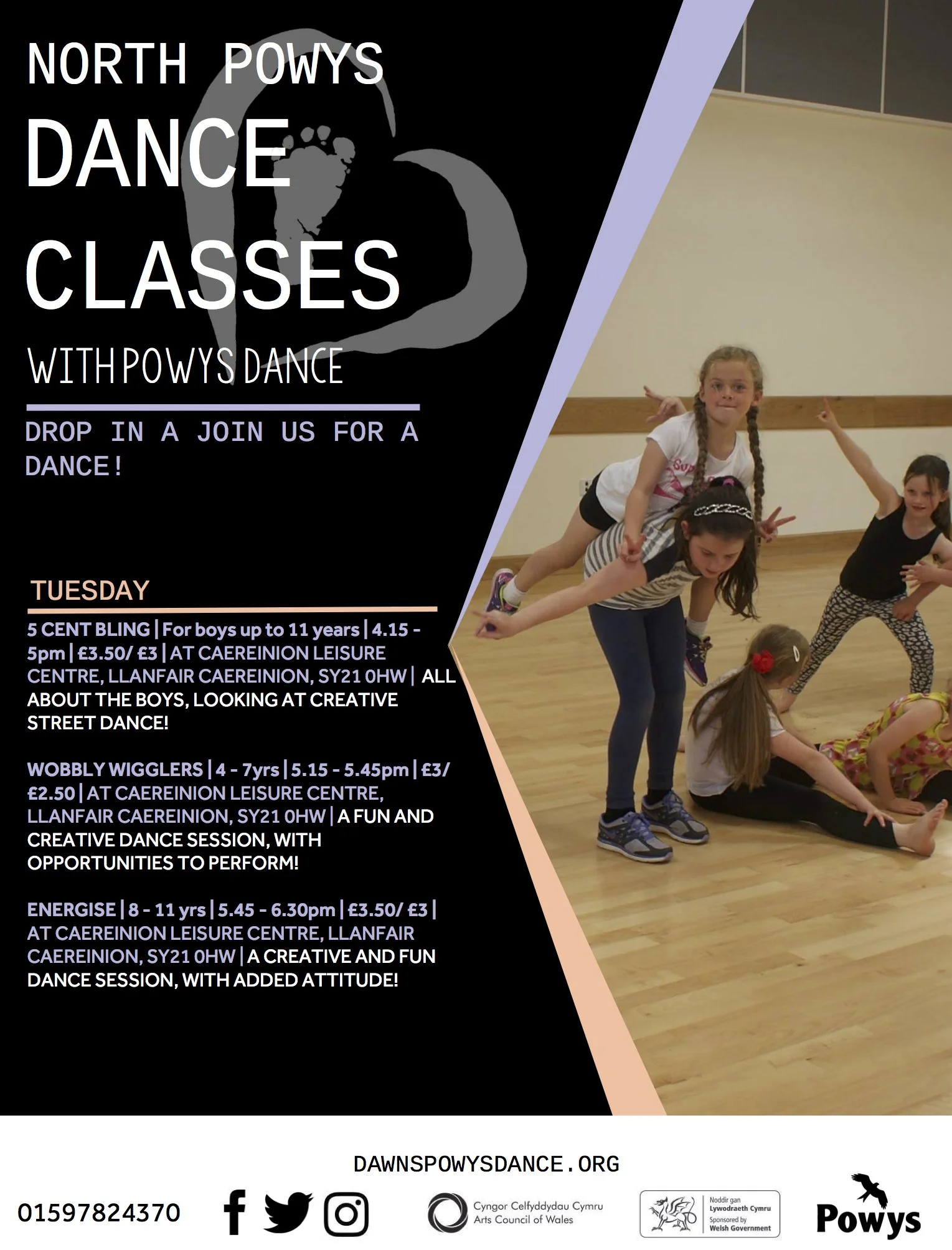 Noth Powys Classes 2017.compressed.jpg